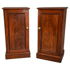 Pair of Victorian bedside cabinet 
