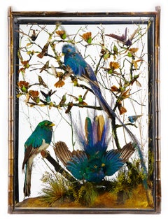 Pair of Victorian Cabinets with Taxidermy Quetzal by Henry Ward