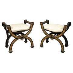 Pair of Victorian Cast Iron Benches
