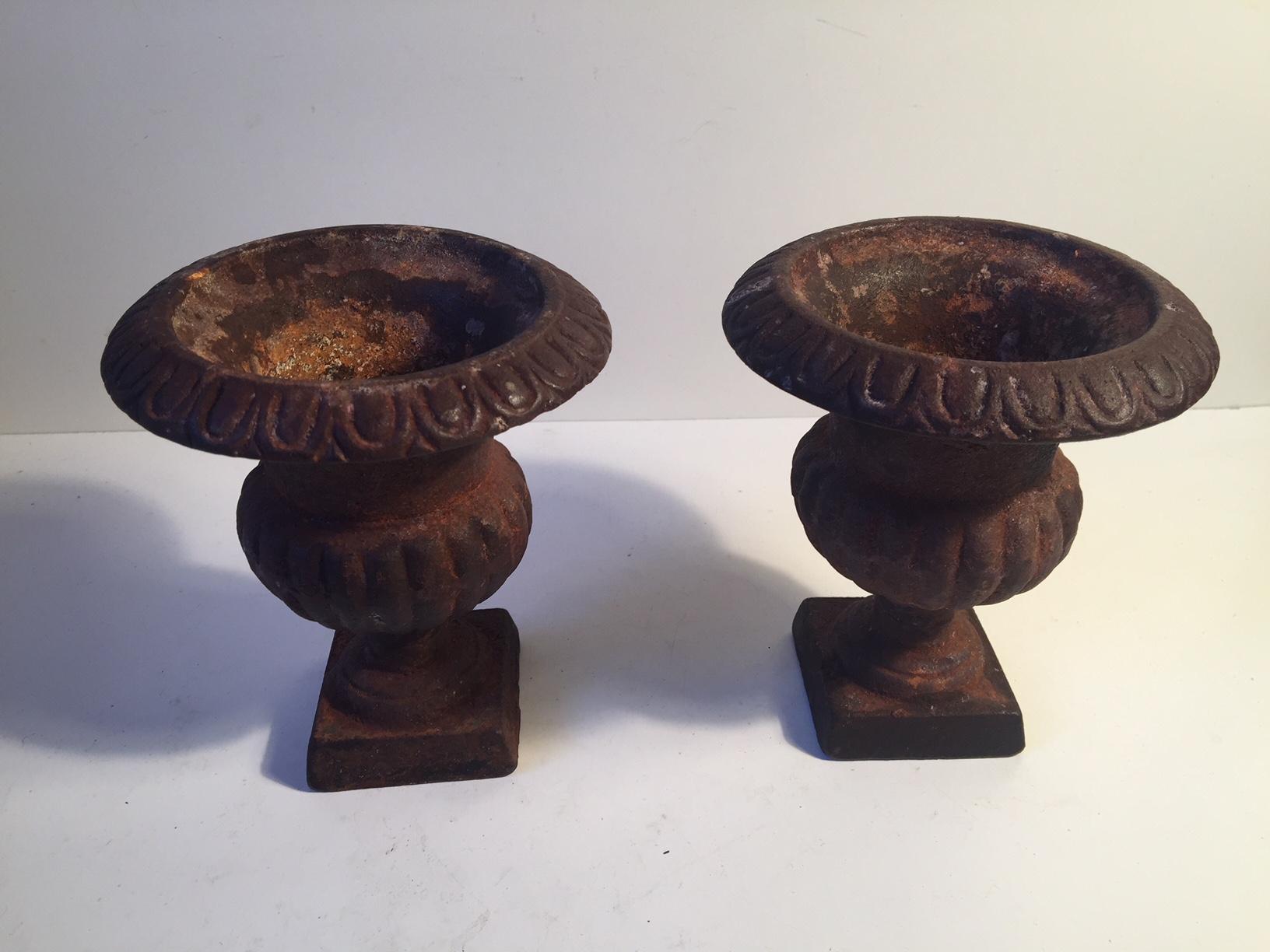 Small sized cast iron planters. Manufactured in England, circa 1900. The rust are extensive yet only superficial. The price is for the pair.