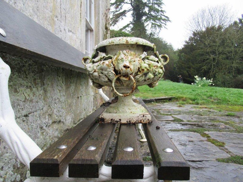 Early Victorian Pair of Victorian Cast Iron Urns