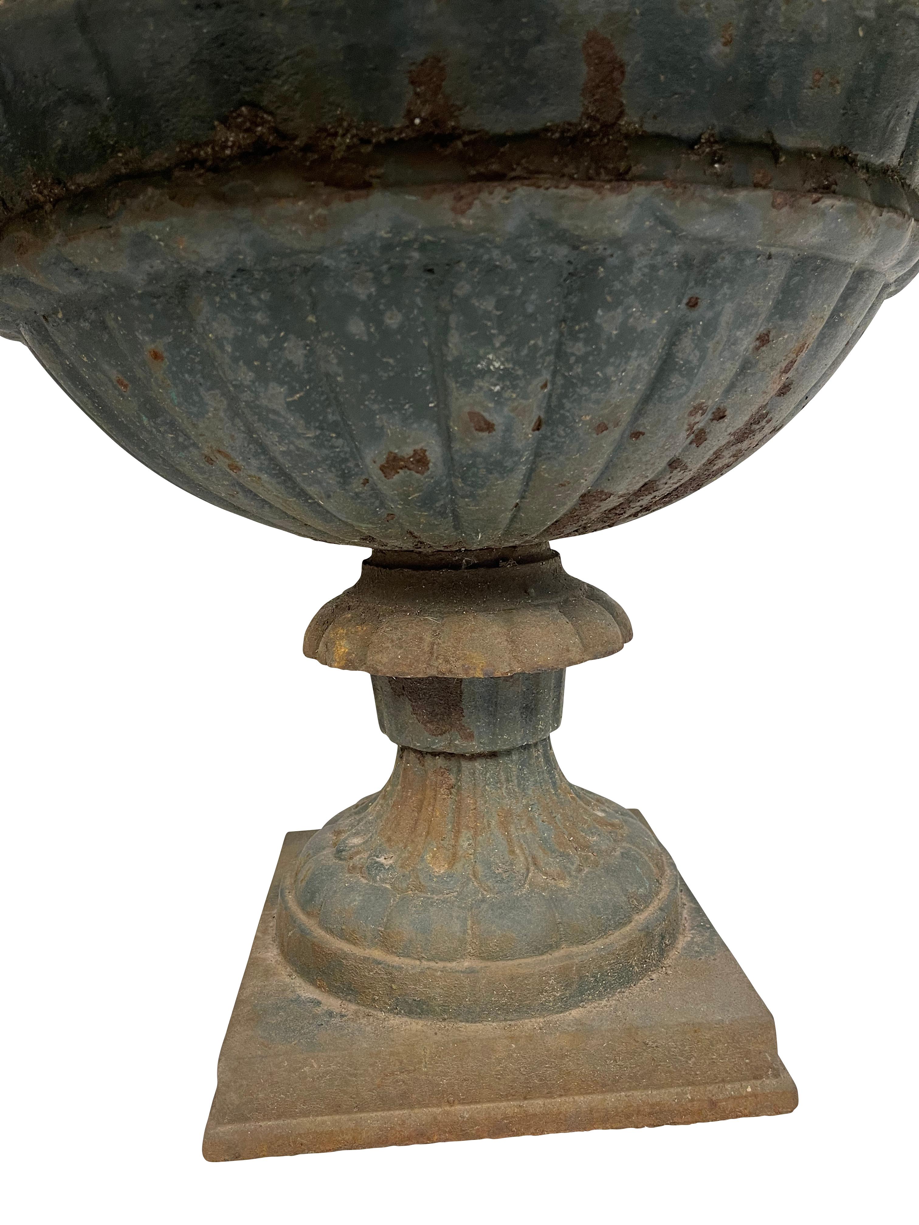 Pair of Victorian cast iron urns with decorative flared border rims. These rims have are accented with unique stylish motifs. Each urn planter is mounted on a sturdy square shape platform.