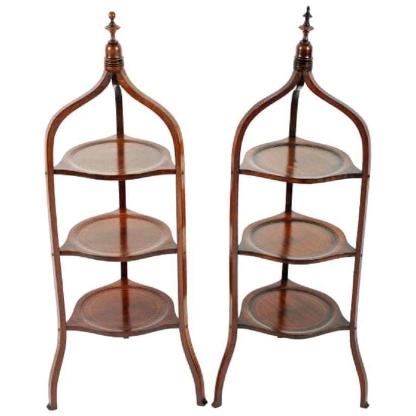 Pair of Victorian Inlaid Étagères, 19th Century For Sale