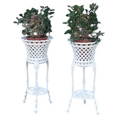 Planters and Jardinieres