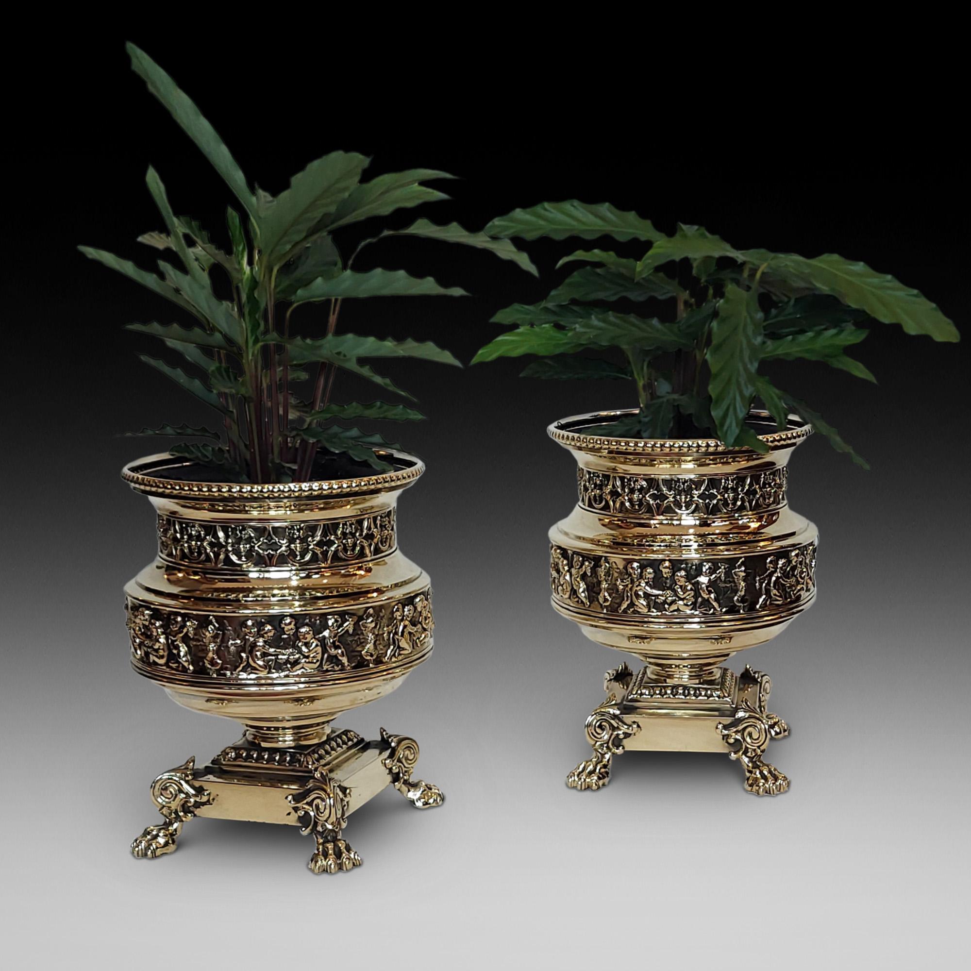Pareja de Maceteros Neoclásicos Victorianos de Latón - con Cinturón Estilo Acrópolis de Mármol de Elgin apoyado en Pies de Garra de León con volutas y revestimientos originales de hojalata - 11 