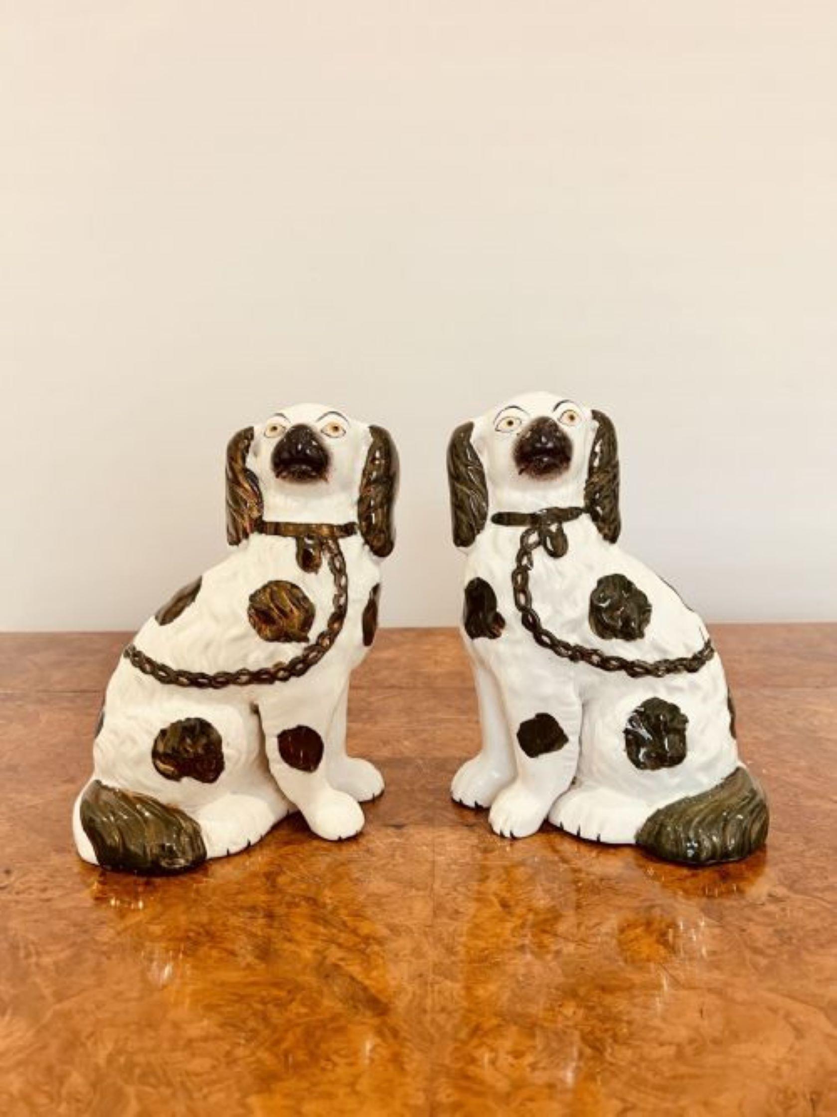Pair of antique Victorian Staffordshire dogs, having a pair of seated Staffordshire dogs in white, gold and green coloured coats with matching collars and padlocks.