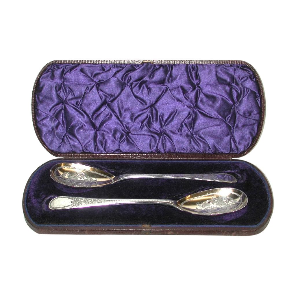 Pair of Victorian Silver Berry Spoons, Newcastle 1878, Christian J Reid