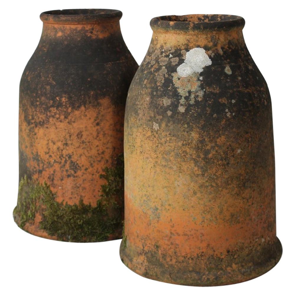 Pair of Victorian Terracotta Bottleneck Rhubarb Forcers