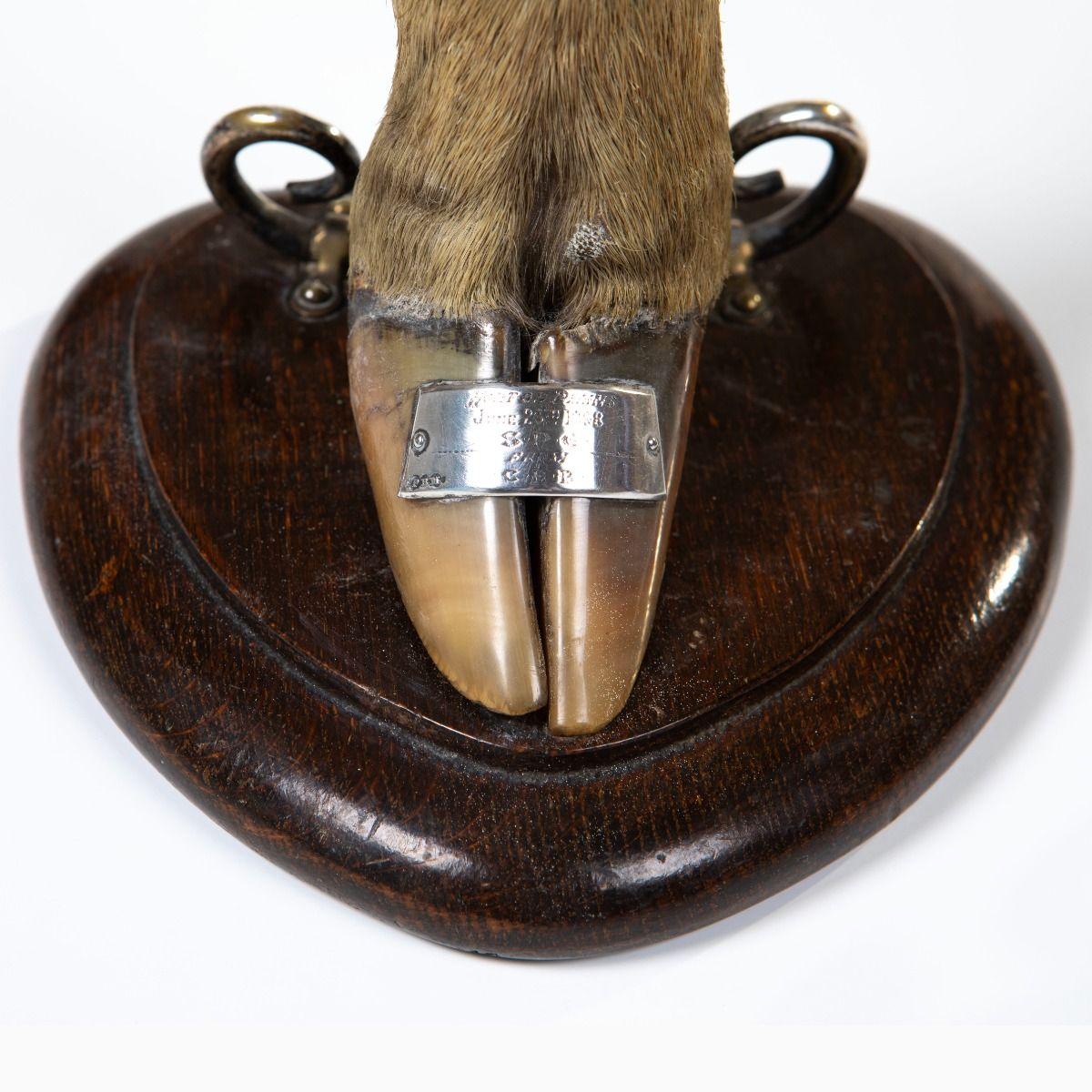 Pair of Victorian Trophy Candlesticks in Deer Hoof, Horton Plains 1883 For Sale 3