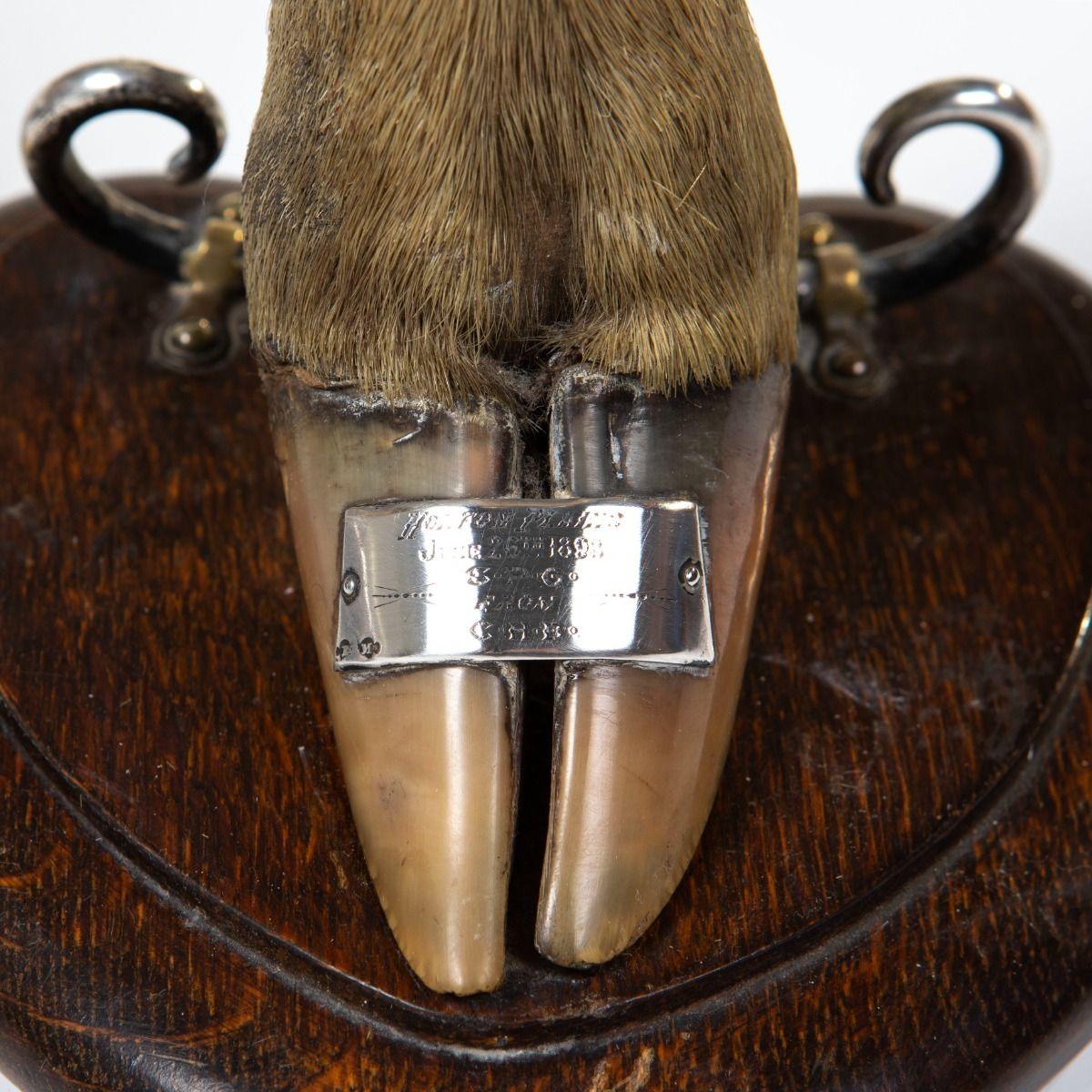 Silver Plate Pair of Victorian Trophy Candlesticks in Deer Hoof, Horton Plains 1883 For Sale
