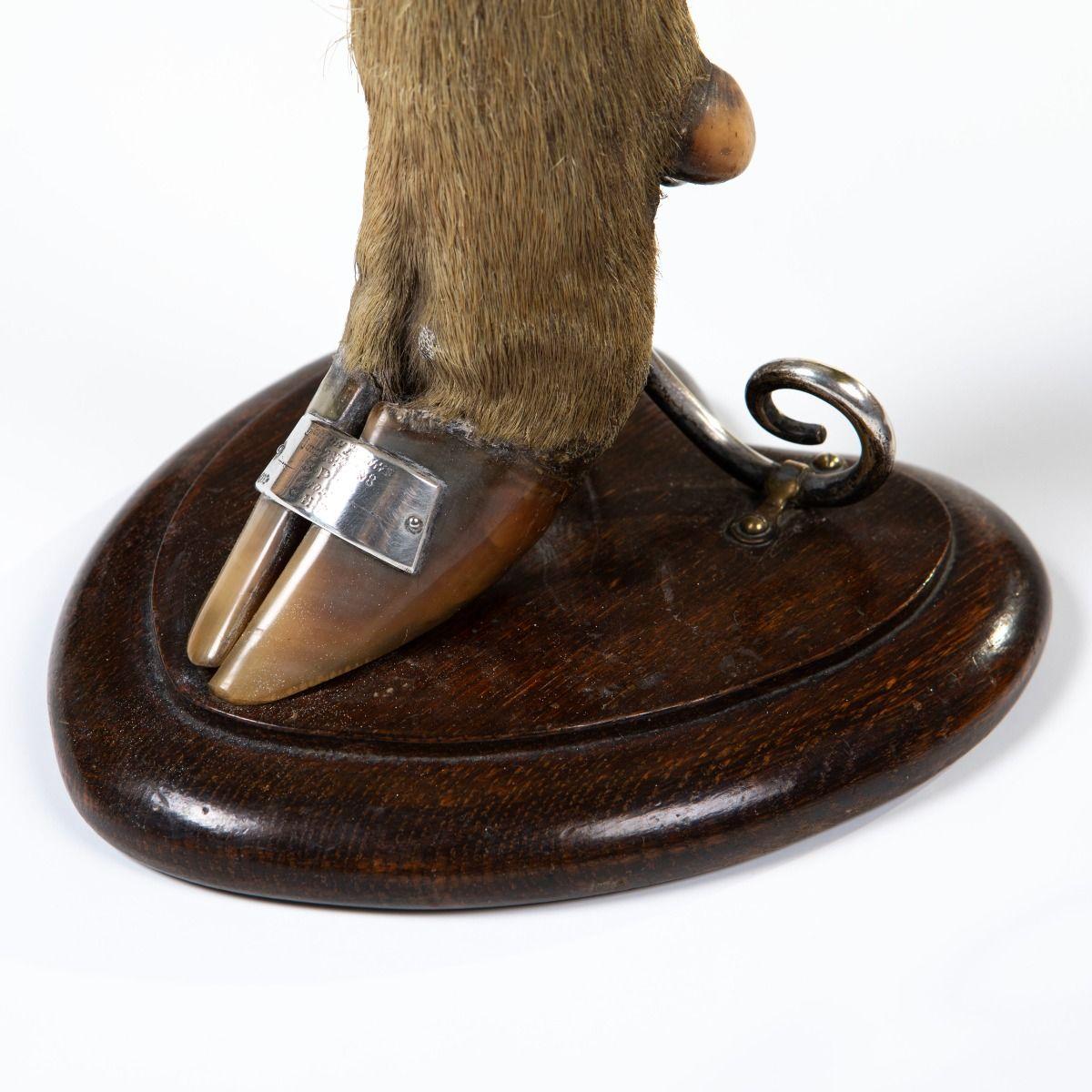 Pair of Victorian Trophy Candlesticks in Deer Hoof, Horton Plains 1883 For Sale 2