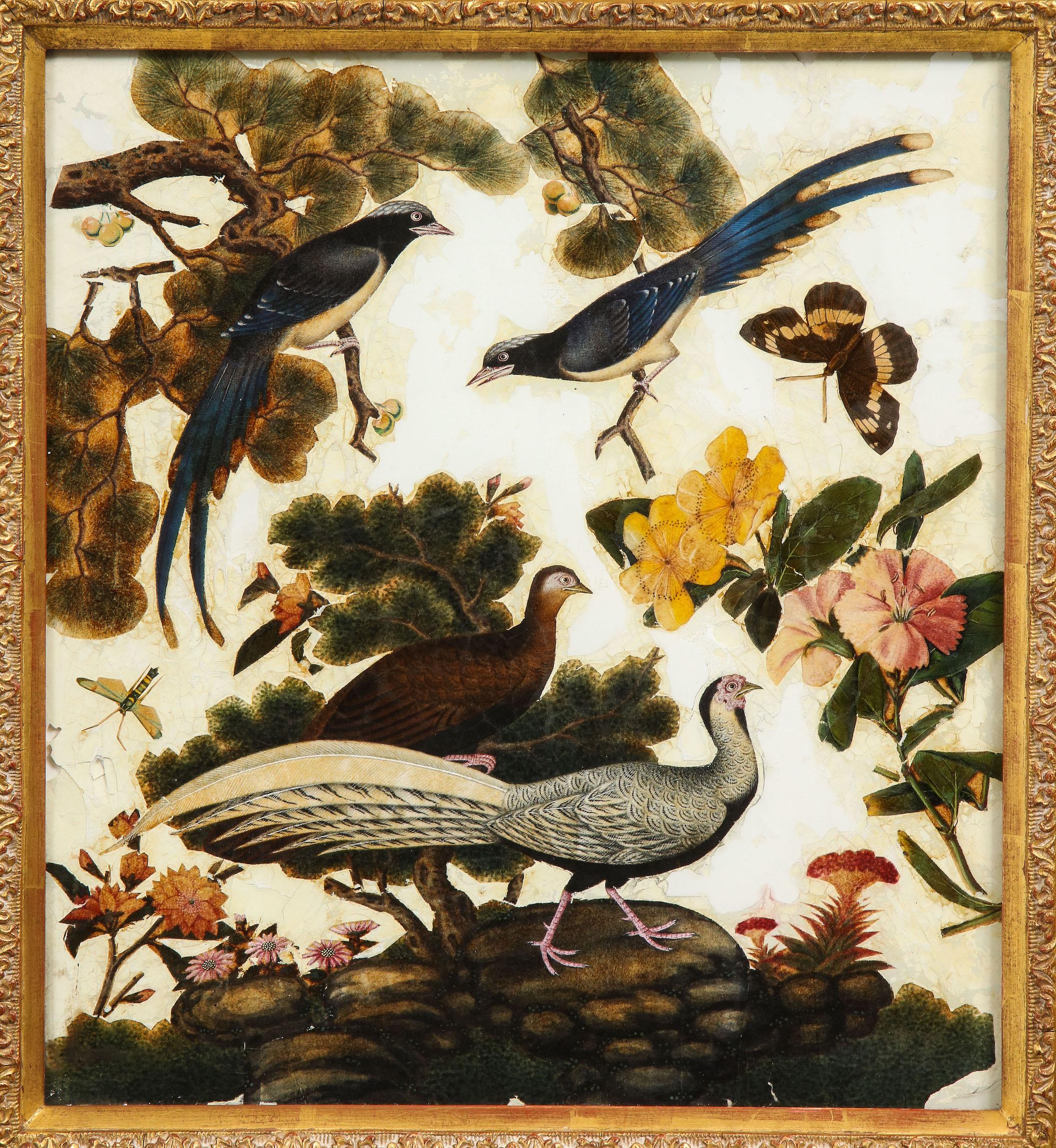 19th Century Pair of Victorian Verre Églomisé Paintings of Birds