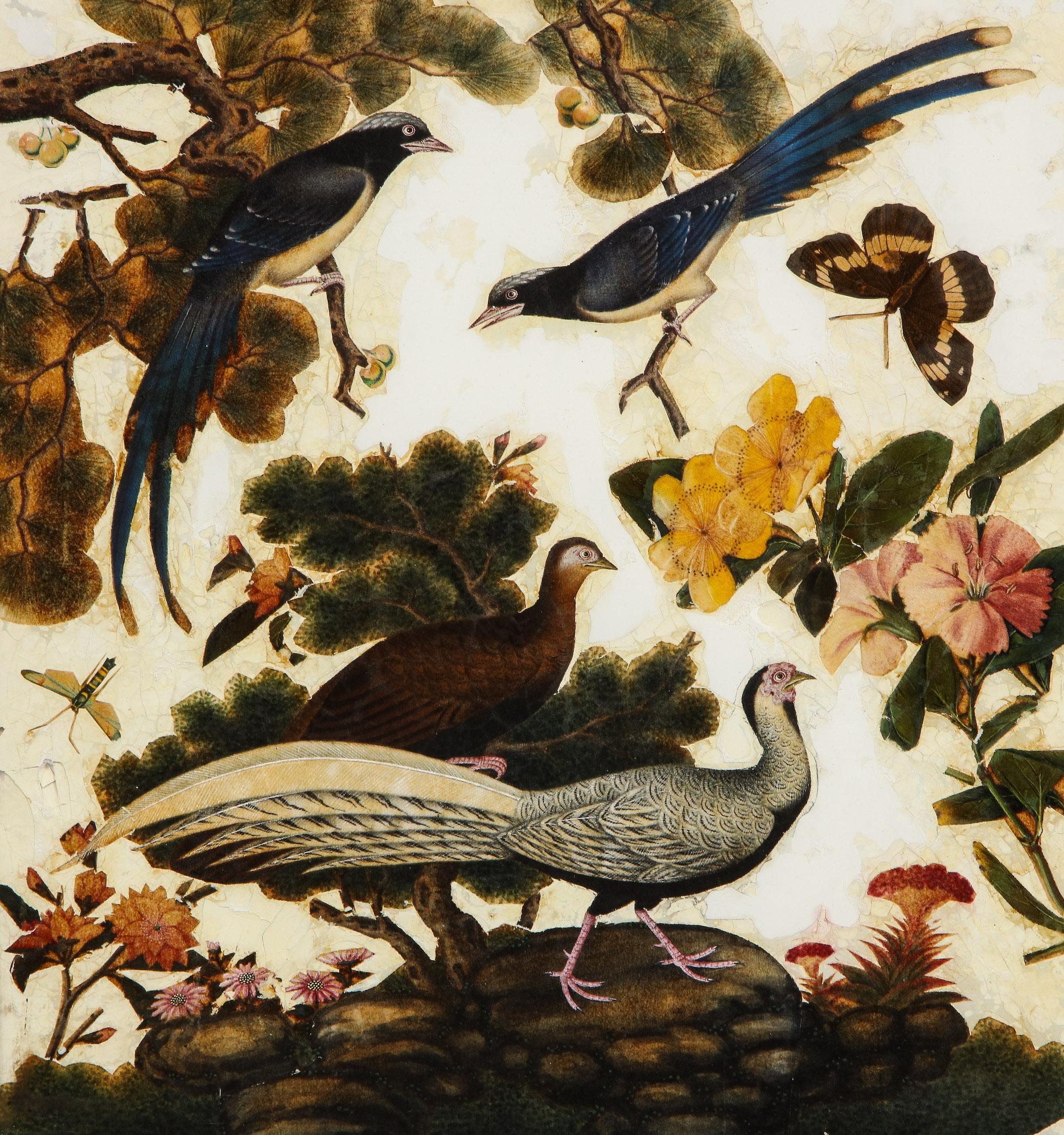 Glass Pair of Victorian Verre Églomisé Paintings of Birds