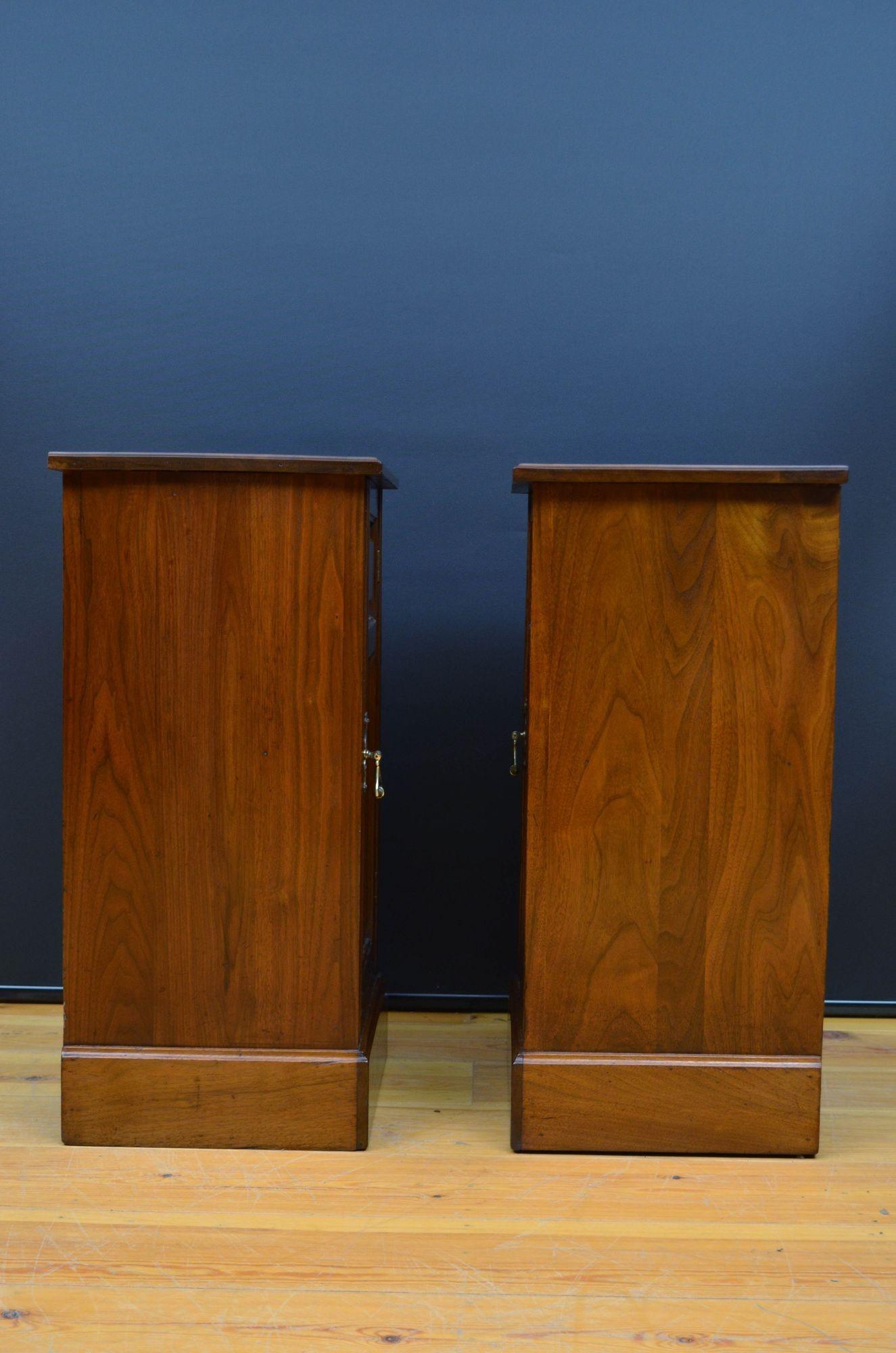 Pair of Victorian Walnut Bedside Cabinets For Sale 8