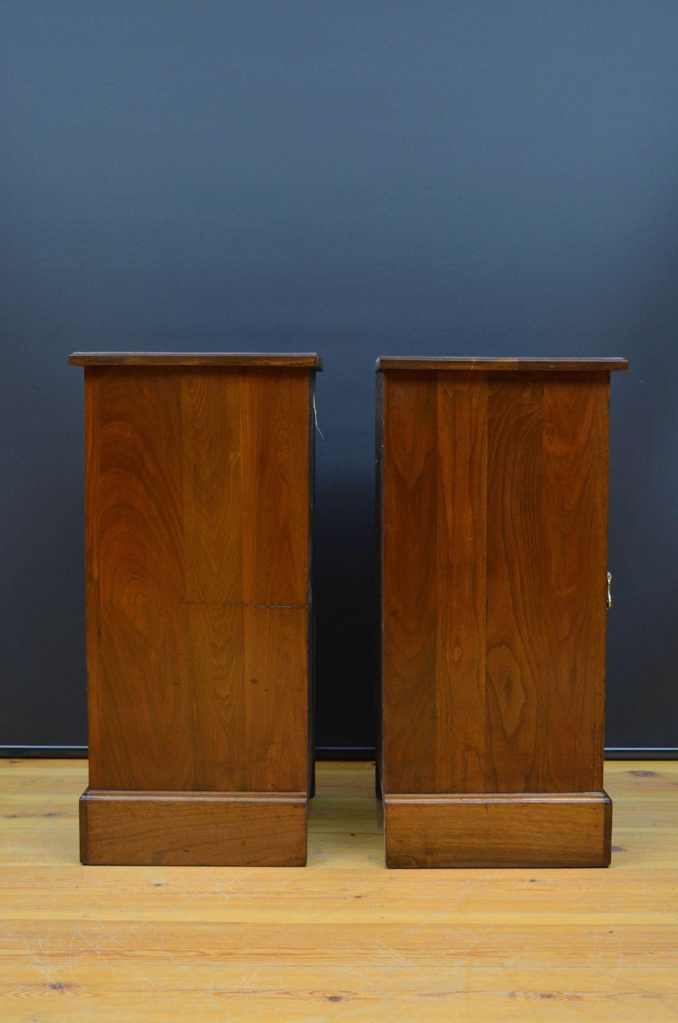 Pair of Victorian Walnut Bedside Cabinets For Sale 9