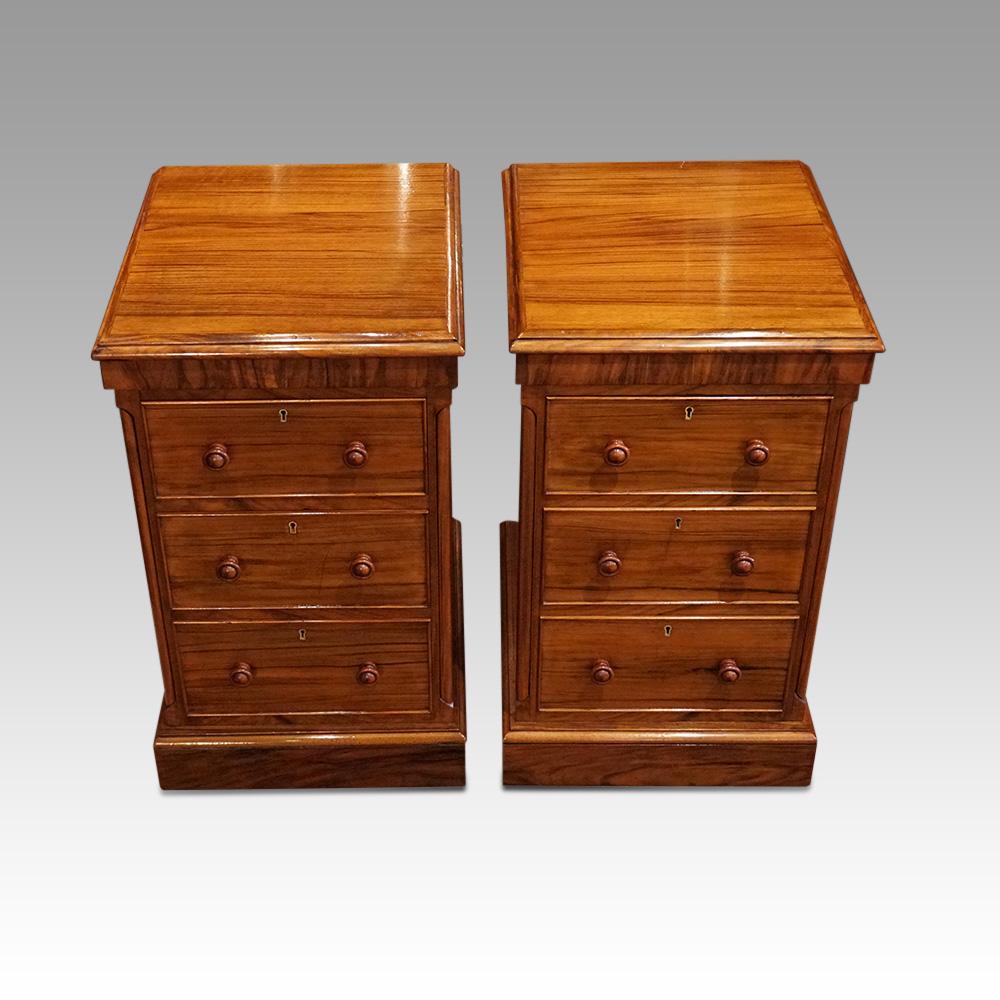 Walnut Pair of Victorian walnut bedside chests For Sale