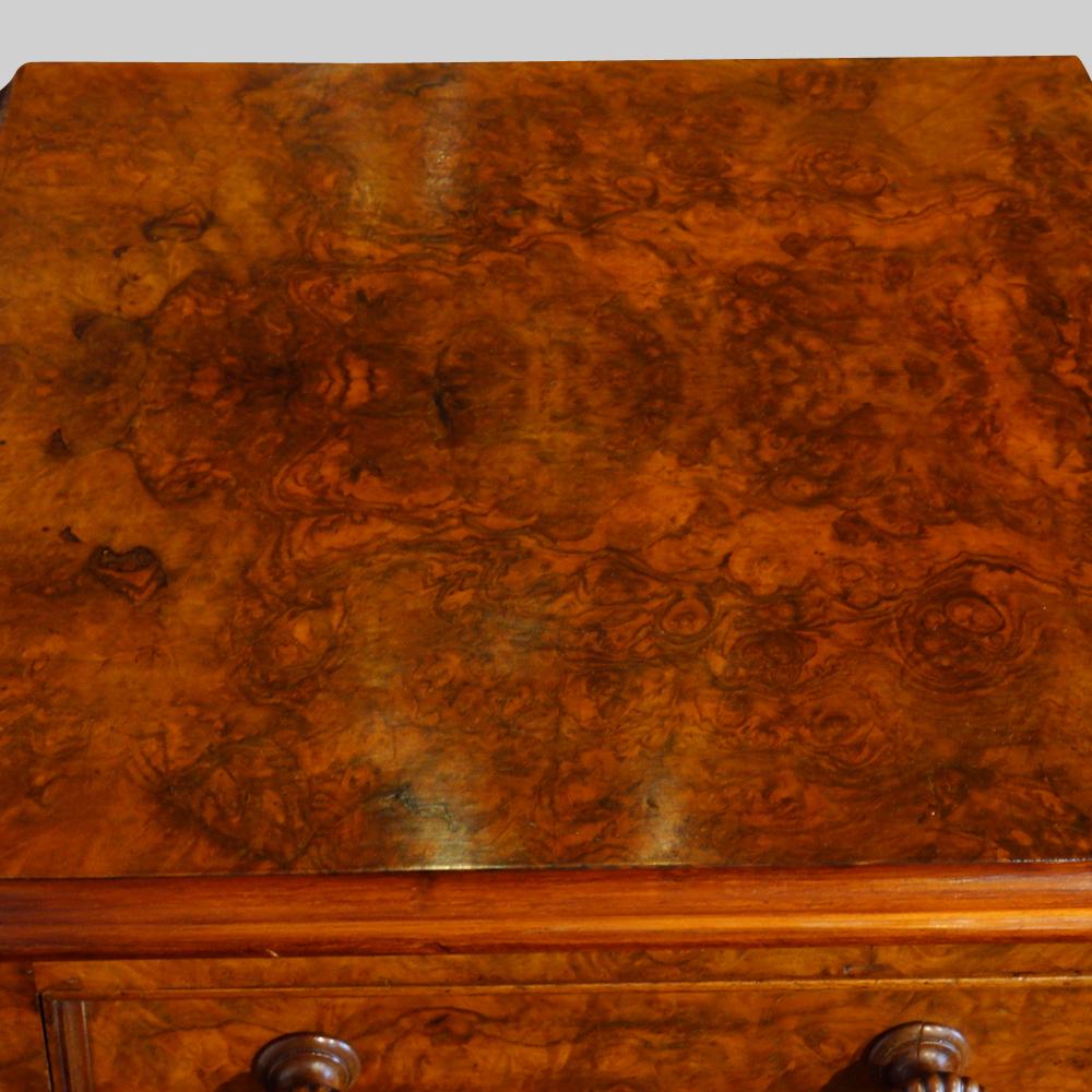 Pair of English Victorian burl Walnut nightstands, bedside cabinets, Circa 1860 5