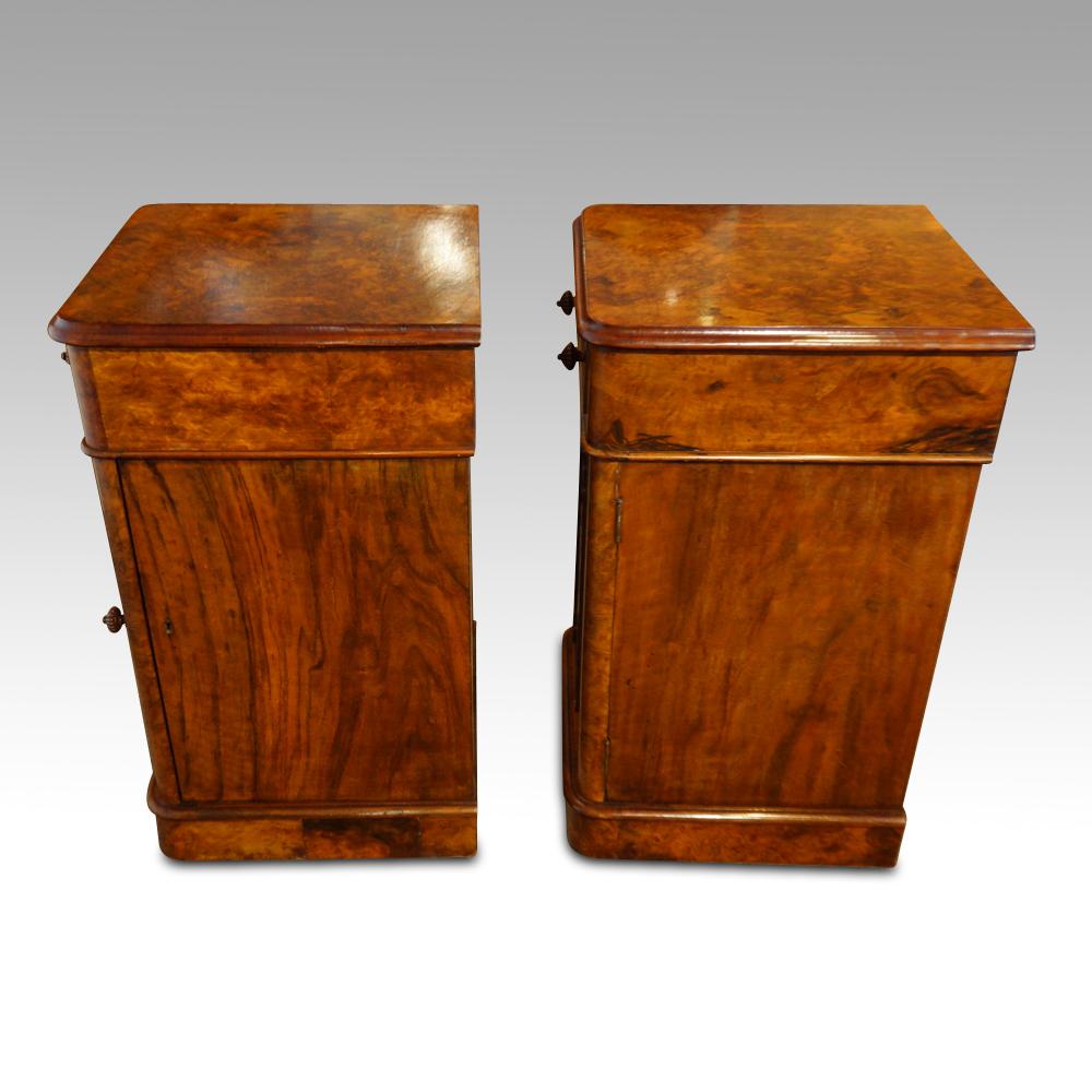 Pair of English Victorian burl Walnut nightstands, bedside cabinets, Circa 1860 3
