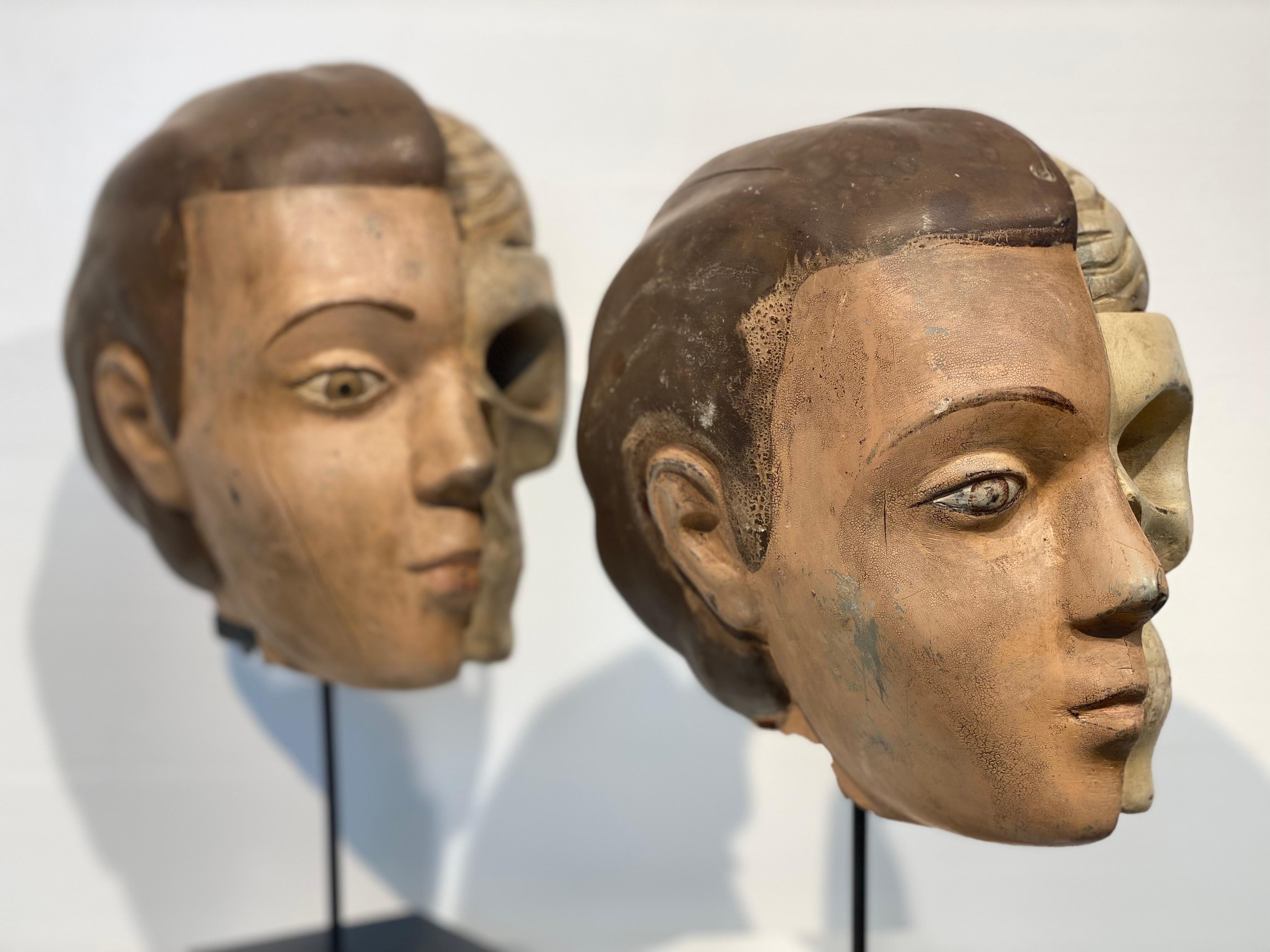 Paire de têtes anatomiques vintage en vente 7