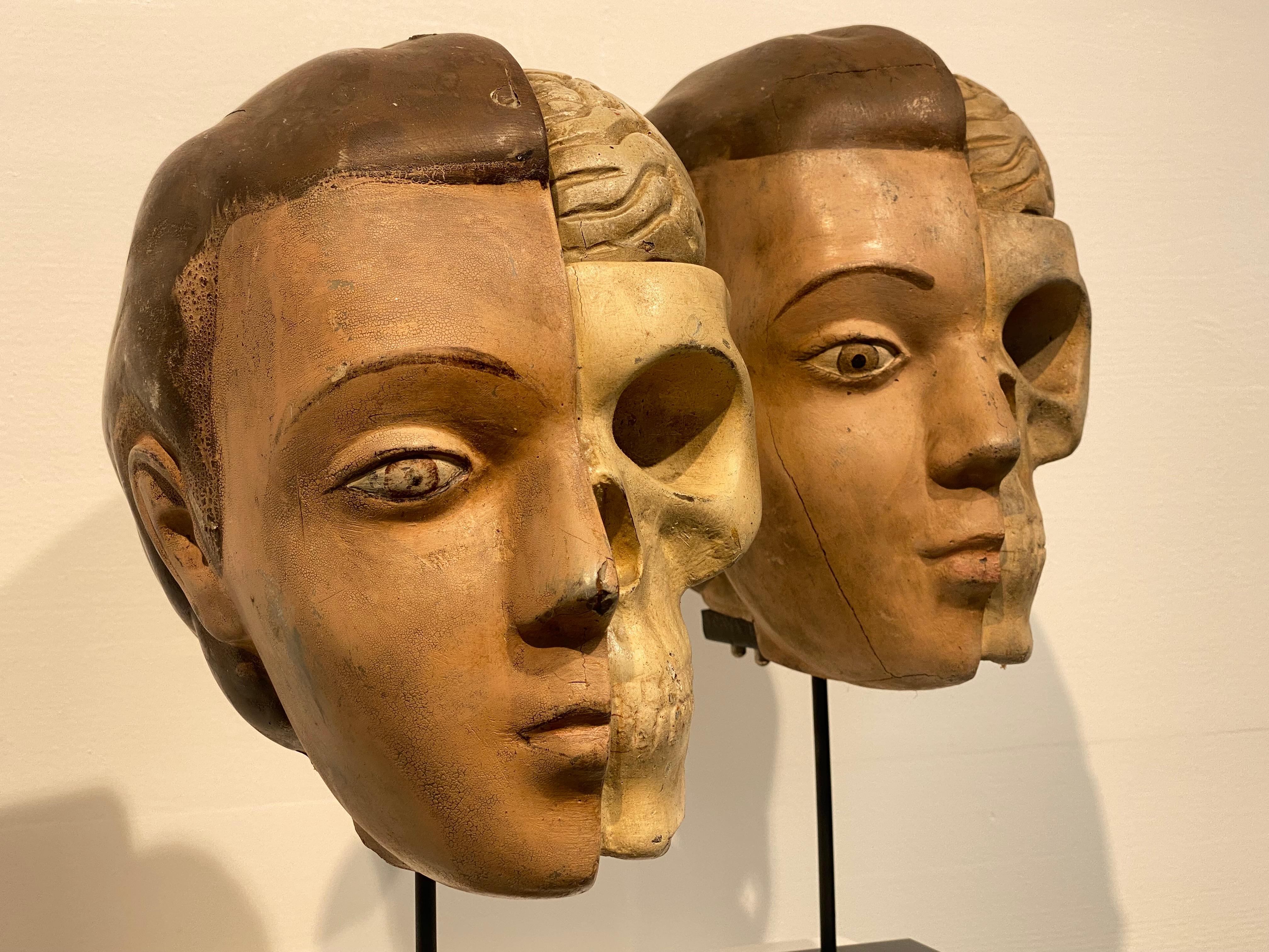 Milieu du XXe siècle Paire de têtes anatomiques vintage en vente