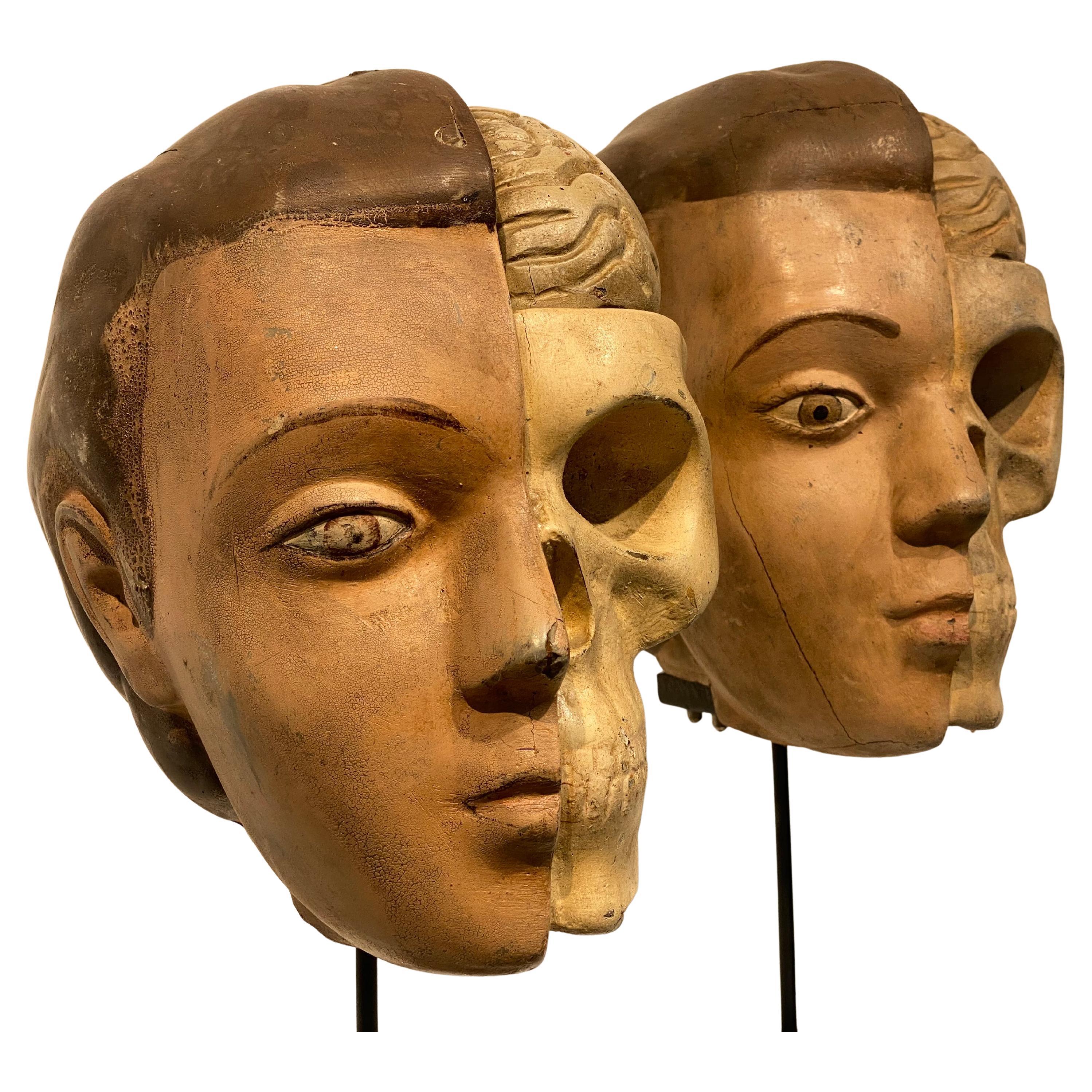 Pair of Vintage Anatomic Heads