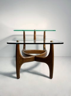 Pair of Vintage Biomorphic Glass End Tables