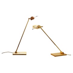 Pair of Vintage brass articulating desk lamps - Stéphane Davidts, Belgium