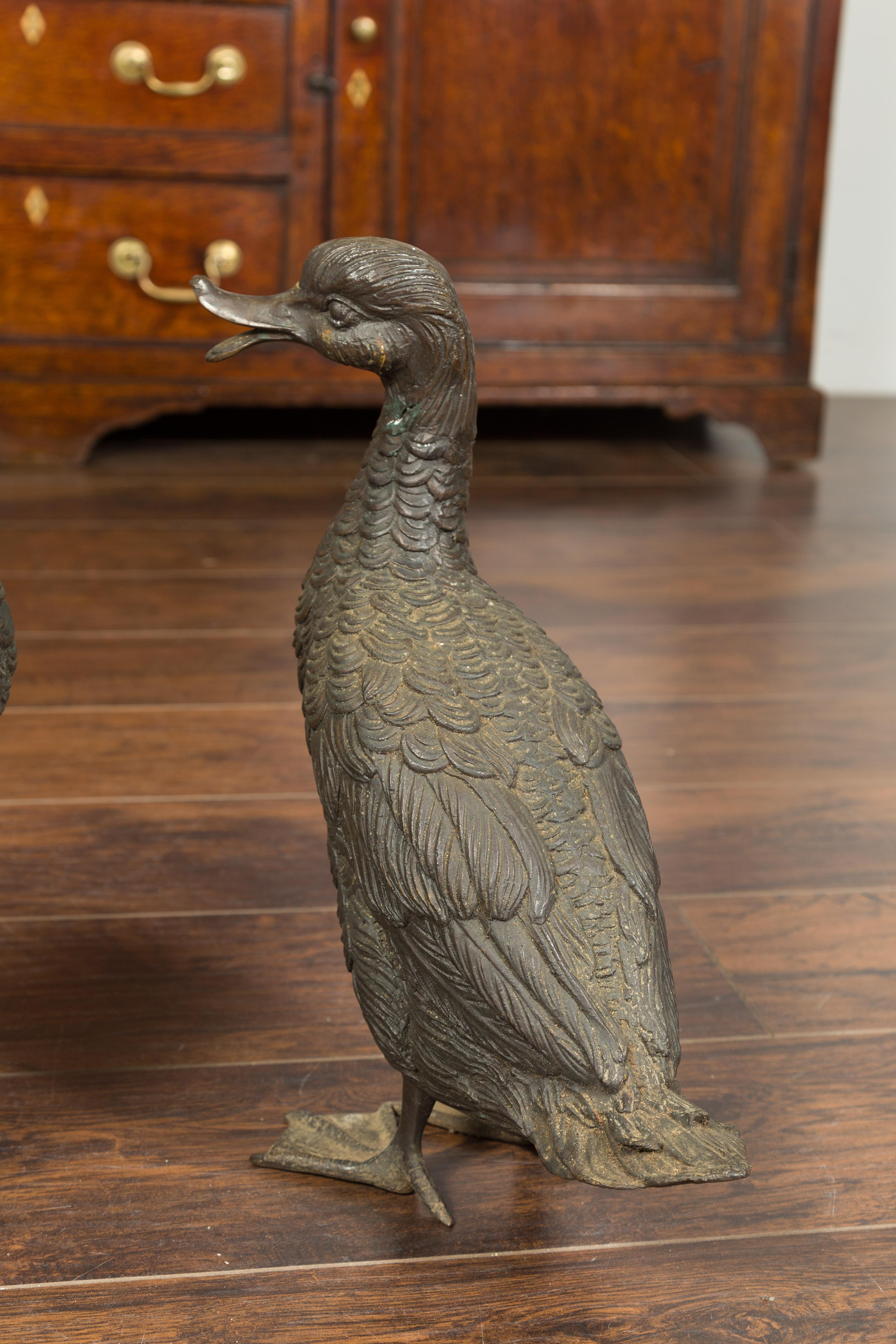 Pair of Vintage Bronze Ducks Standing on Their Palmed Feet, circa 1940 For Sale 5