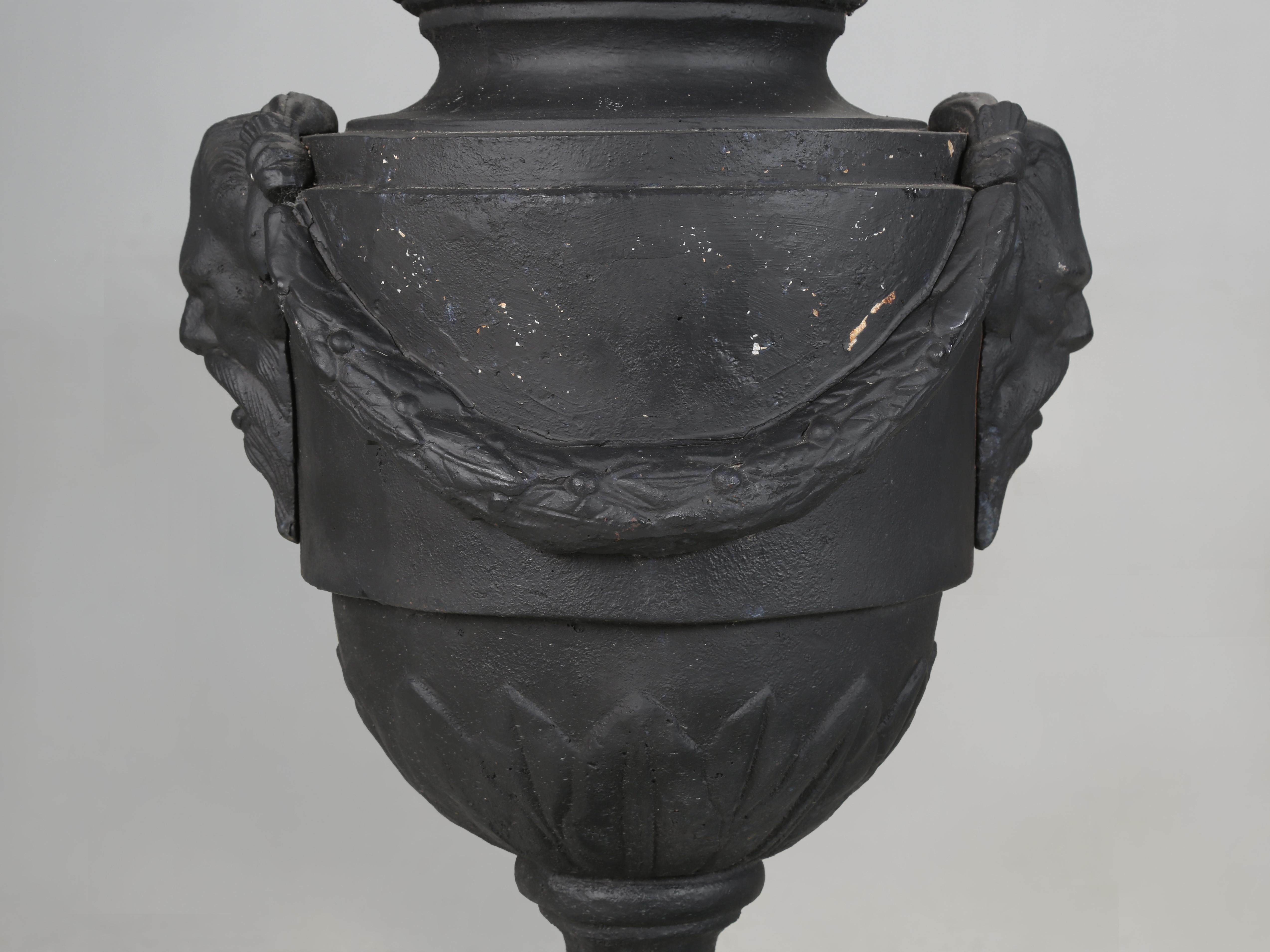 Pair of vintage Cast Iron Neoclassical Urns Matching Cast Iron Plinths c1900's For Sale 5