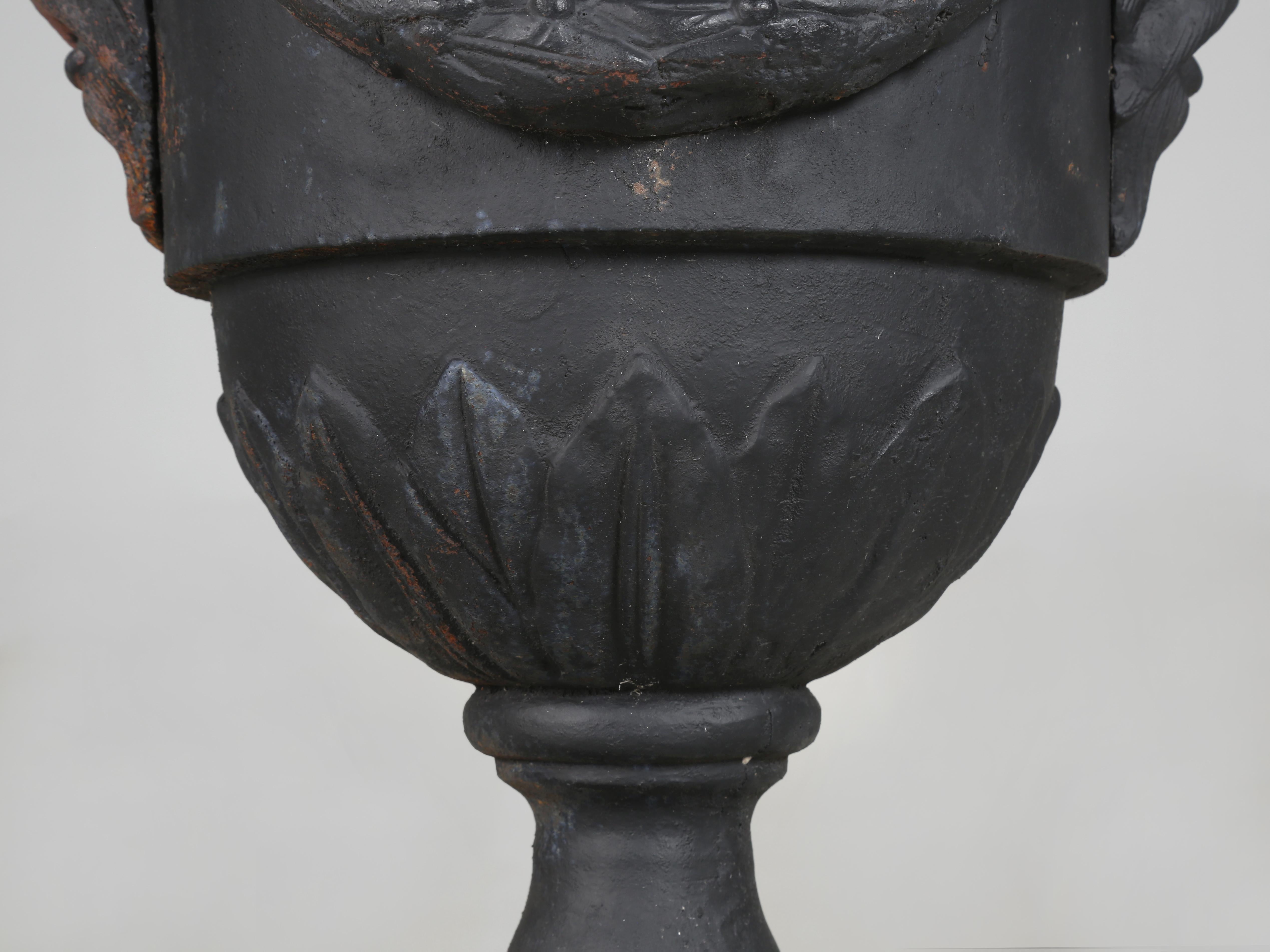 Pair of vintage Cast Iron Neoclassical Urns Matching Cast Iron Plinths c1900's For Sale 8