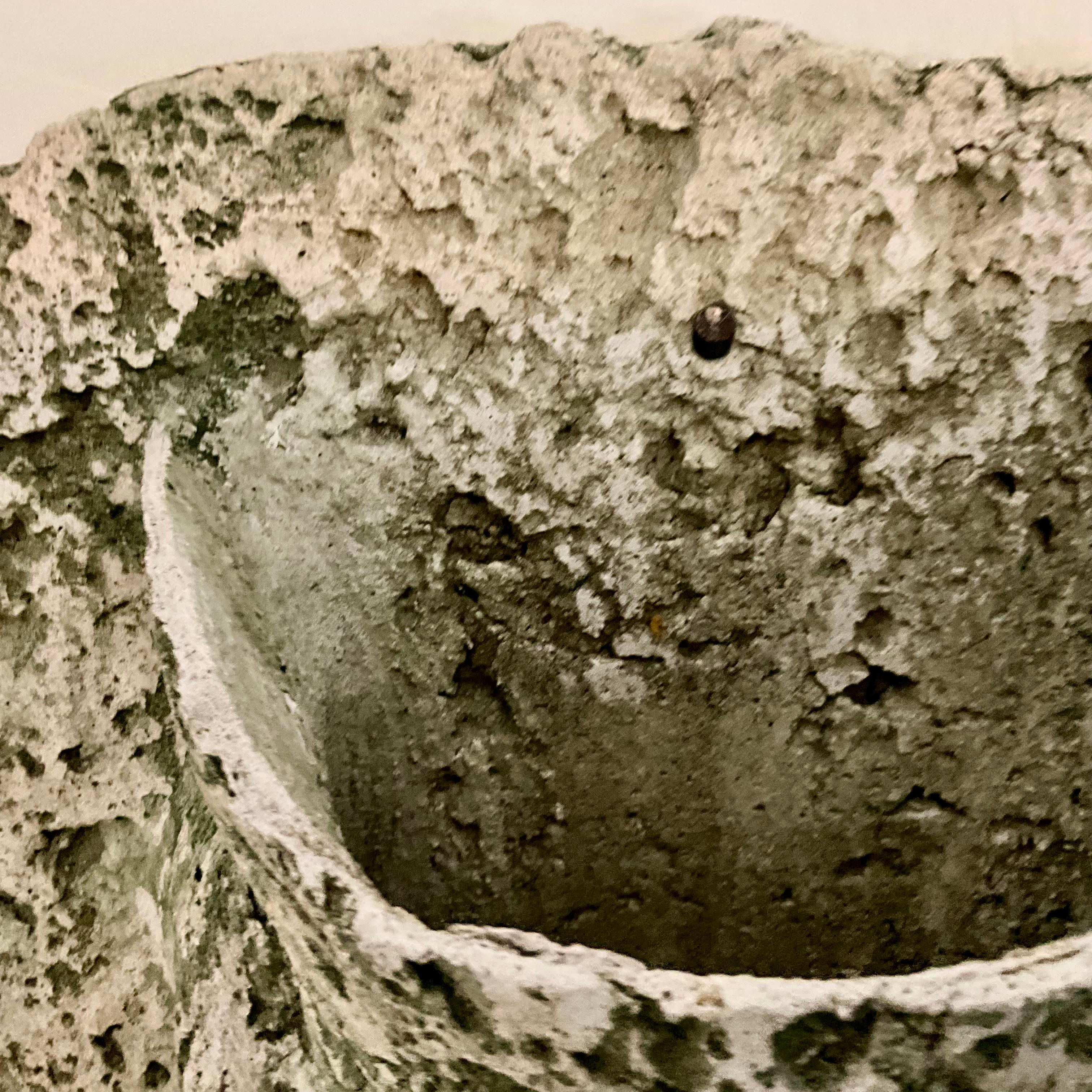 Coppia di fioriere da parete in pietra fusa d'epoca, design rustico ispirato al corallo in vendita 4