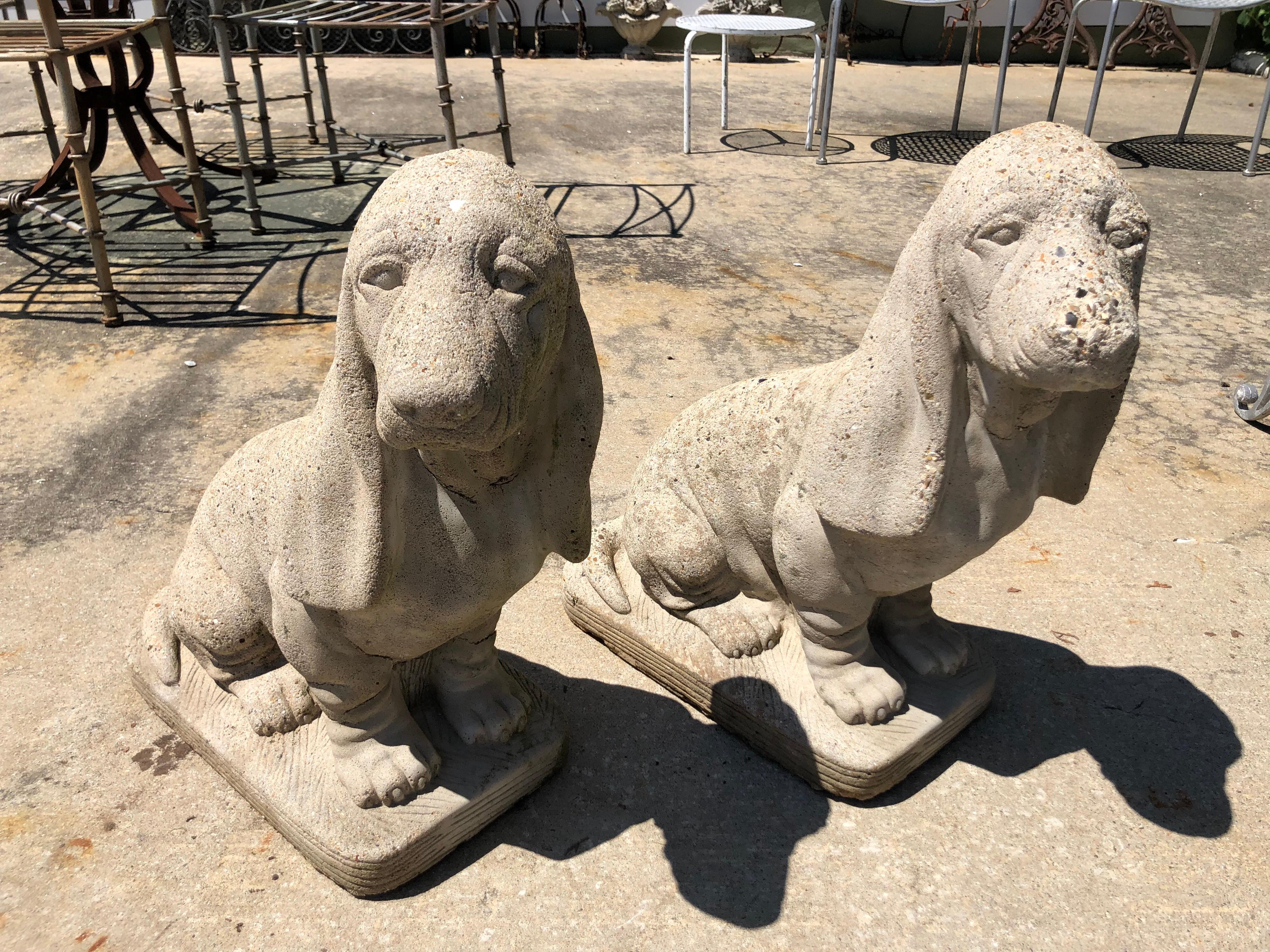 Pair of vintage cement Bassett hound garden sculptures. Perfect accent pieces for your garden or patio decor. One dogs face is worn from the elements. Some cast seams present, not breaks in cement. If you are a dog lover than these are for you. Very