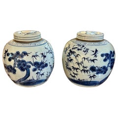 Paire de pots couverts chinois vintage