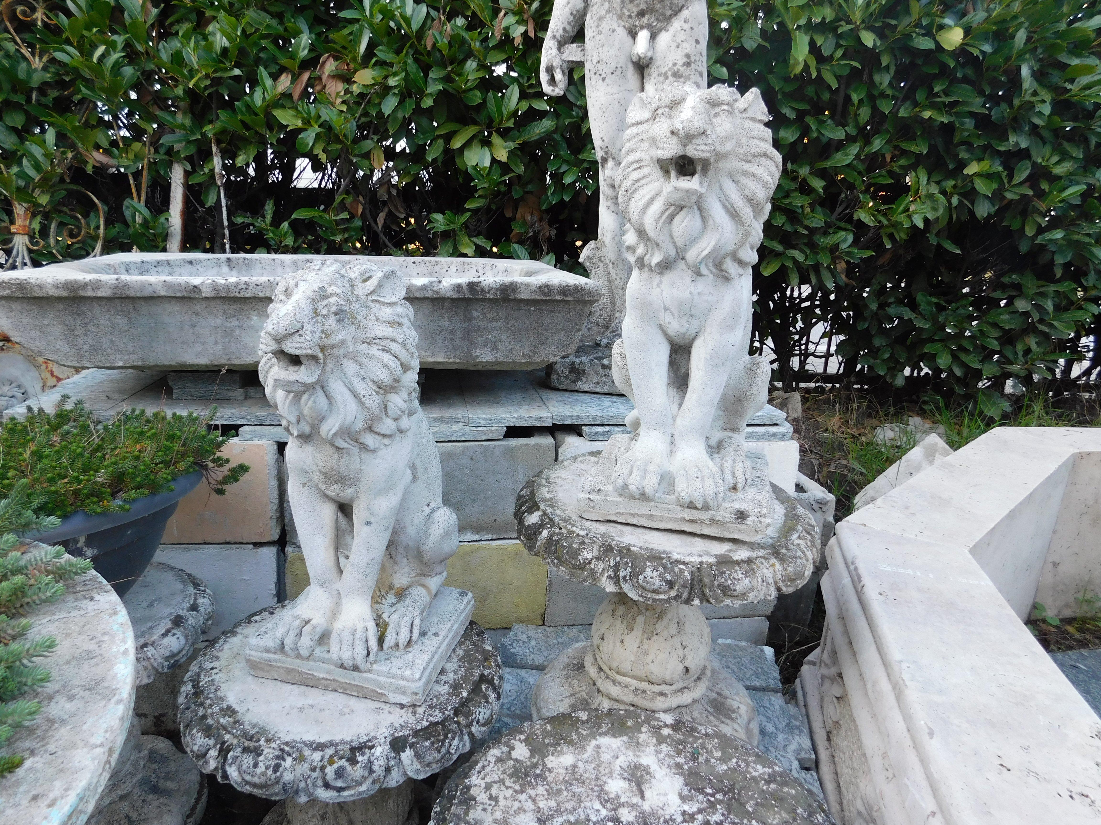 Pair of vintage lions in concrete, built for garden or outdoor furniture (can also be positioned above columns in the entrance), built in the 1900s in Italy, measuring cm W 25 x D 35 x H 52.