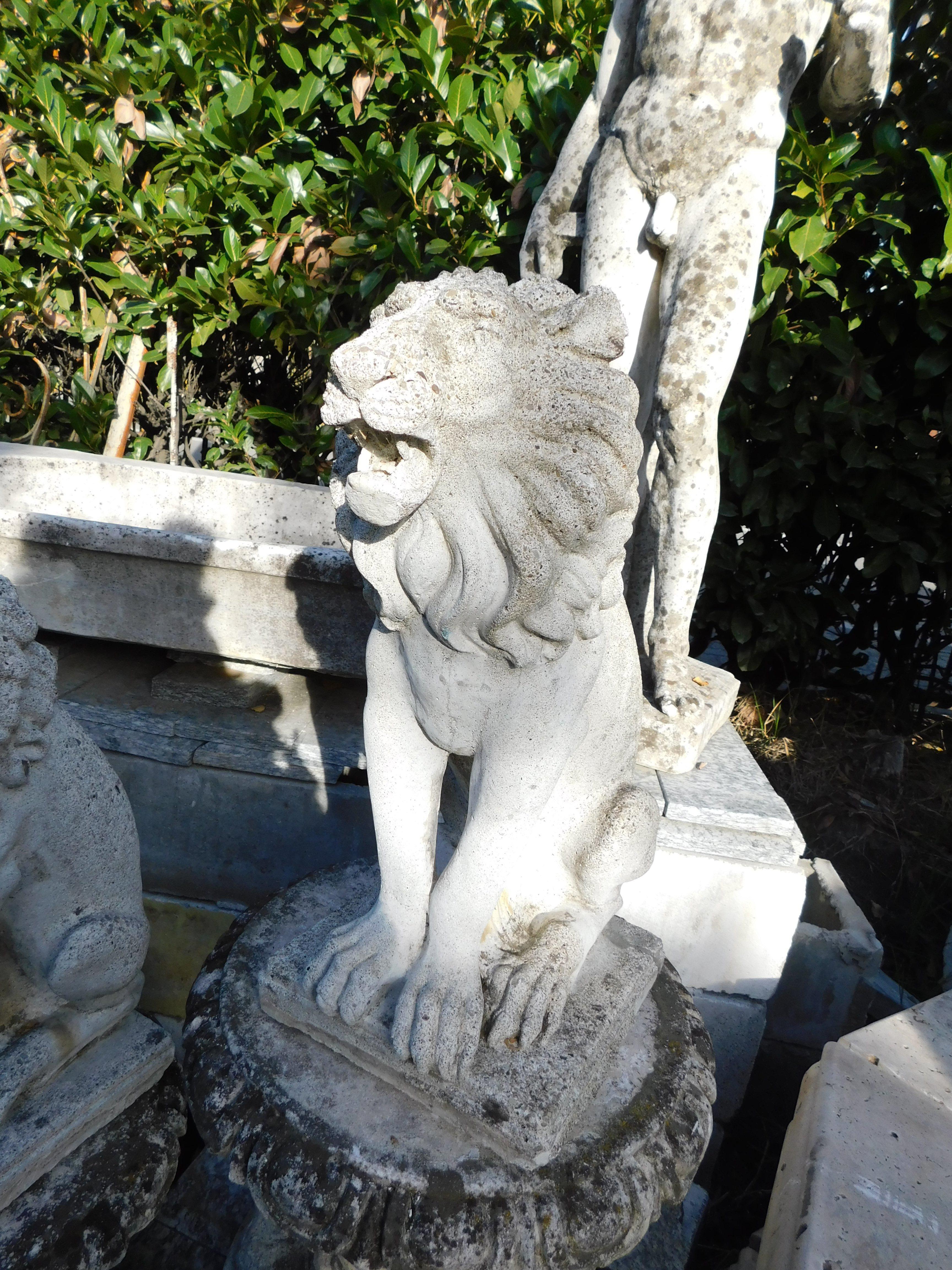Pair of Vintage Concrete Lions for Garden, 1900s, Italy In Good Condition In Cuneo, Italy (CN)