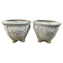 Planters and Jardinieres