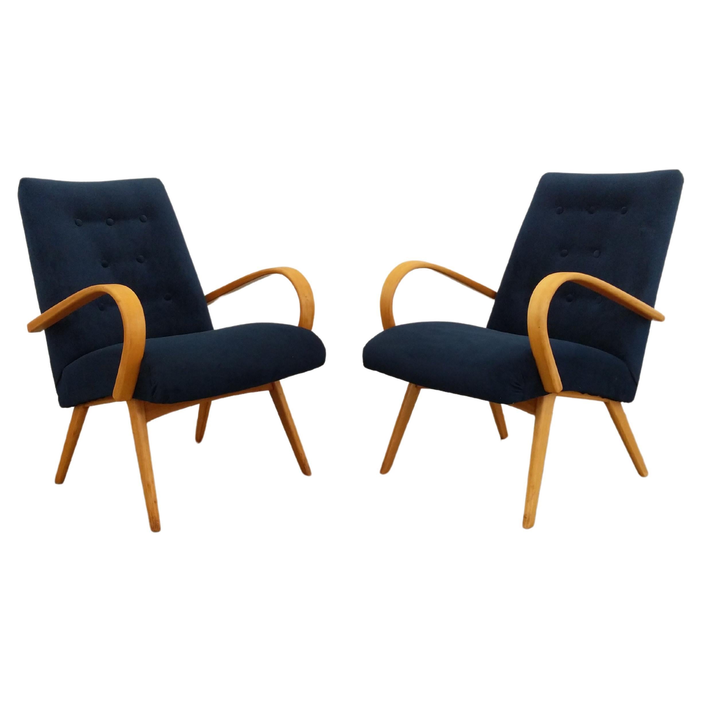 Pair of Vintage Czech Mid Century Modern Lounge Chairs For Sale