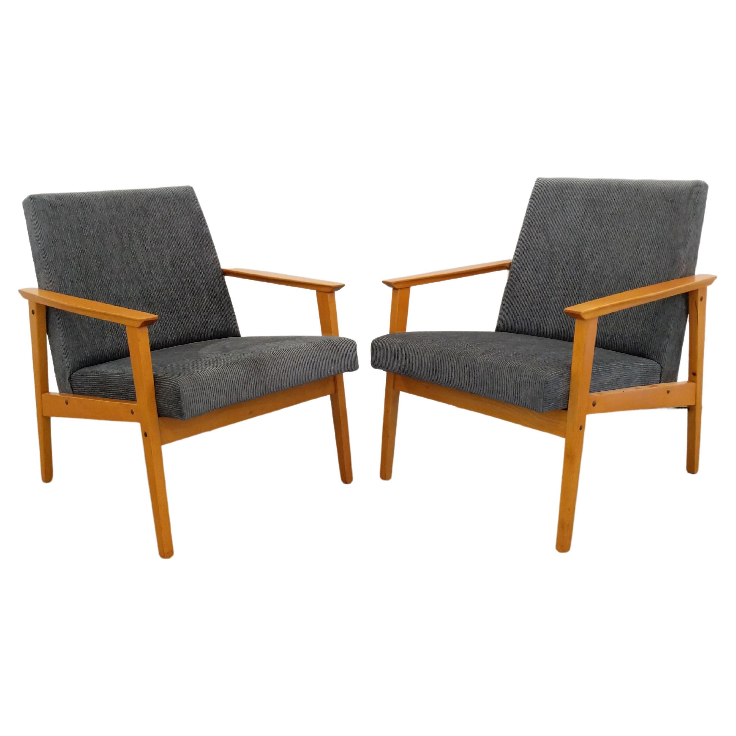 Pair of Vintage Czech Mid Century Modern Lounge Chairs For Sale