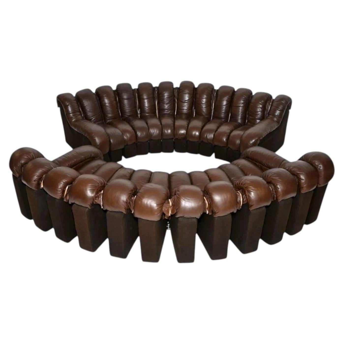 Ein Paar Vintage-Sofas vom Typ „De Sede DS-600 Snake“ aus Leder