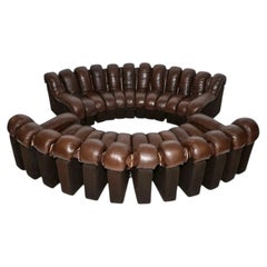 Pair of Vintage De Sede DS-600 Snake Sofas in Leather