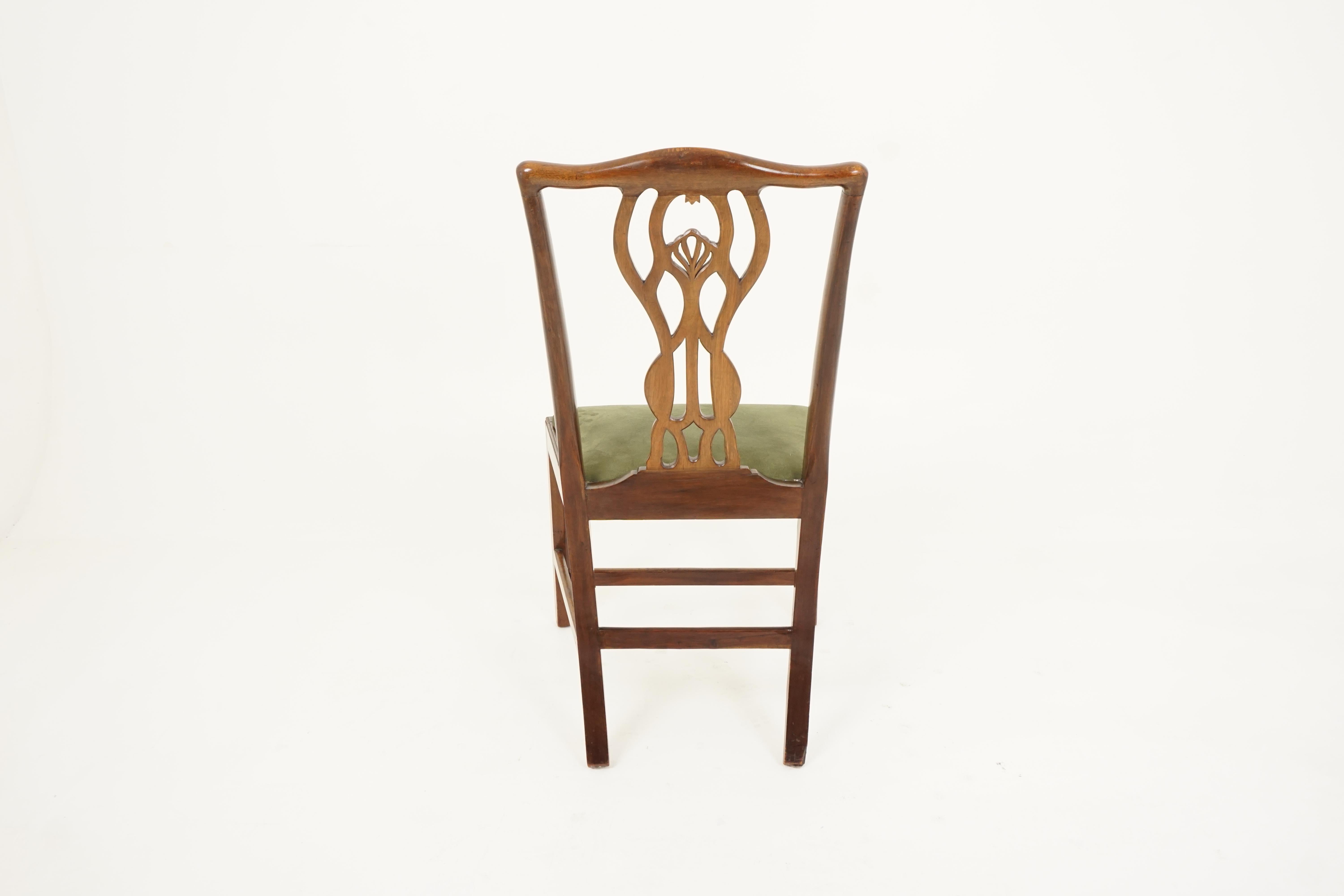 Pair of Vintage Dining Chairs, Walnut, Chippendale Style, Scotland 1930 2