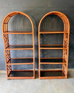 Pair Of Vintage Domed Mid-Century Cane Shelves