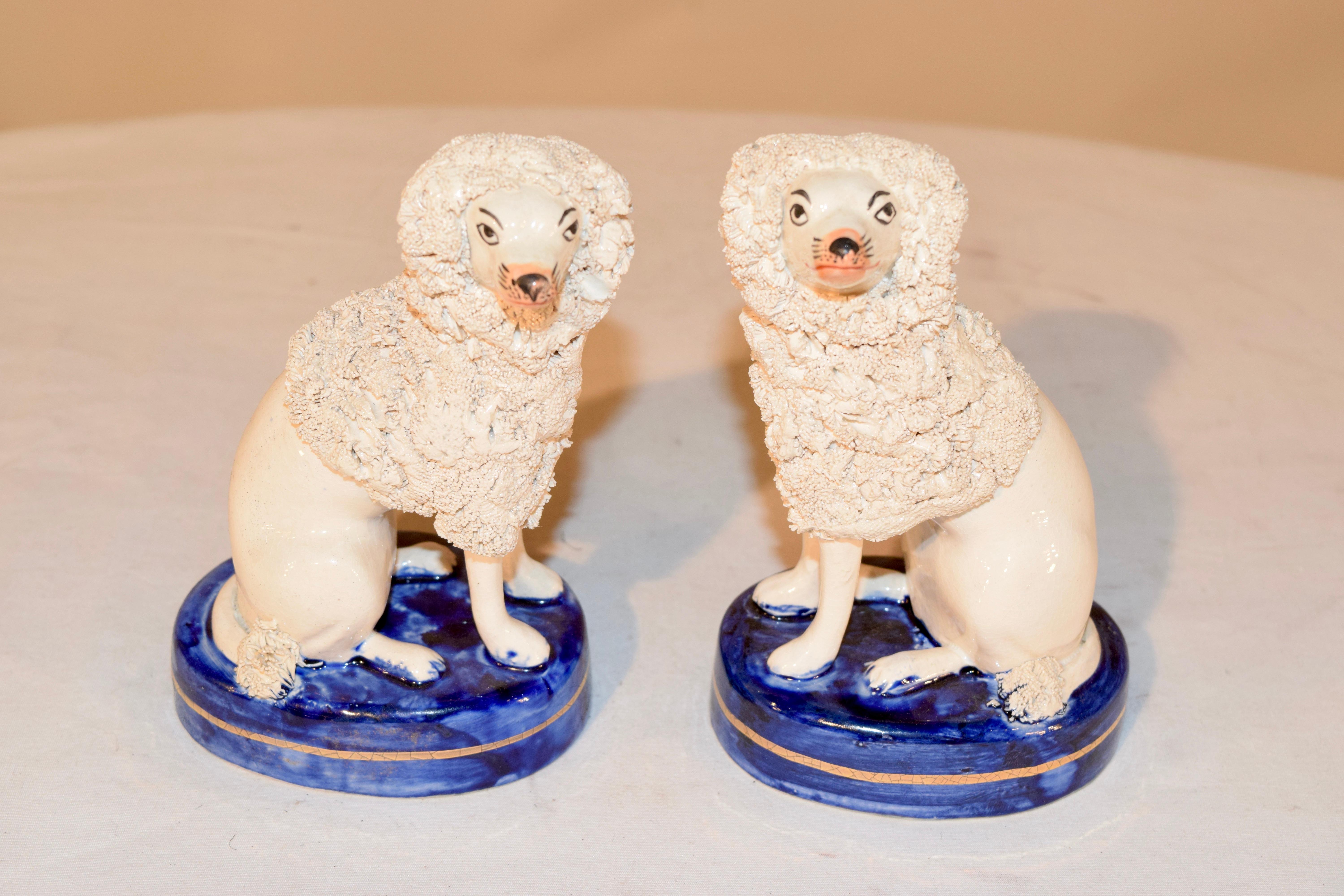Pair of vintage English poodle figures made in Staffordshire, England in the mid-20th century. Lovely flocking accents and coloring. The poodles are sitting on cobalt blue bases with gilt accents.