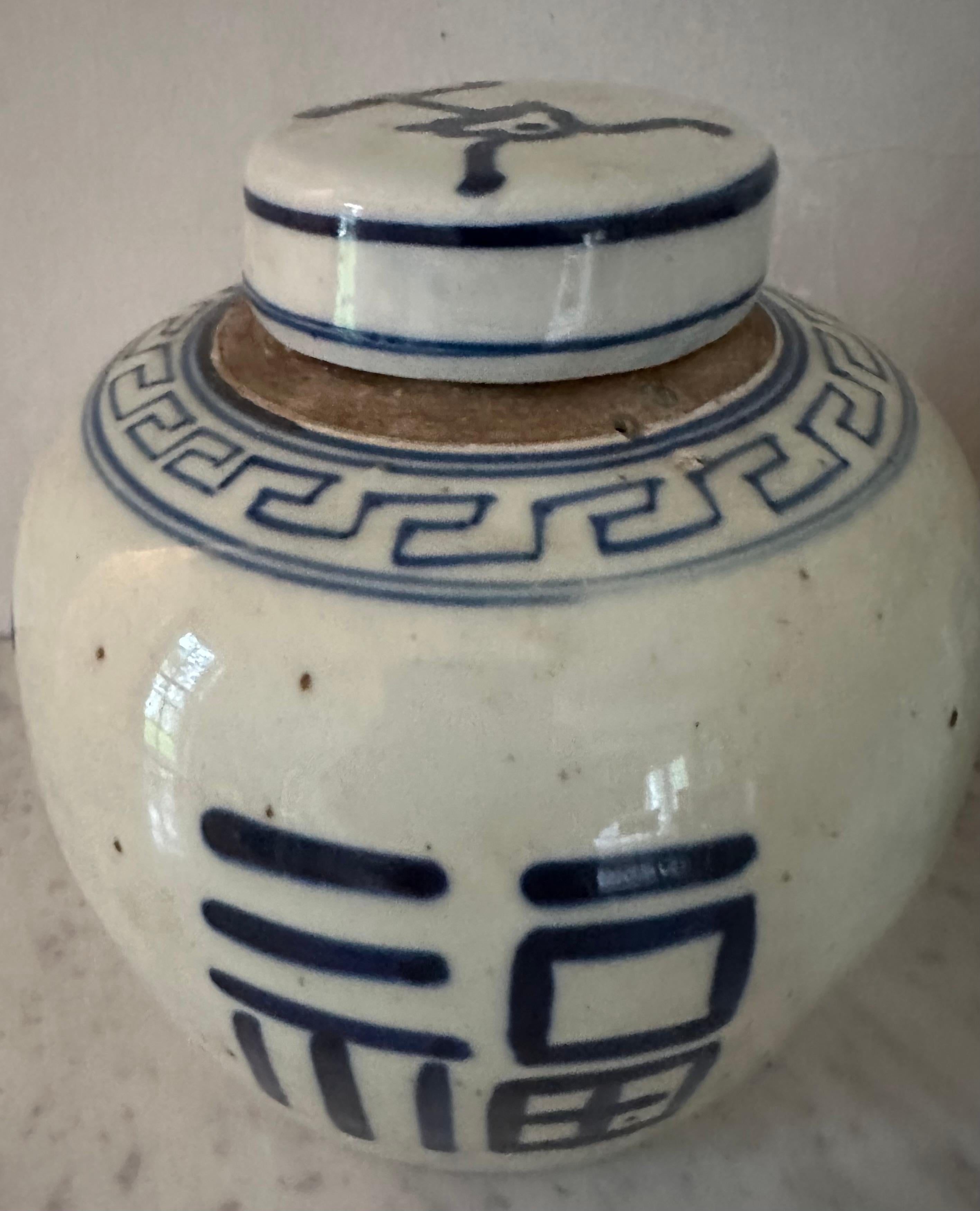 Paire de pots à gingembre chinois d'exportation bleu et blanc en vente 5