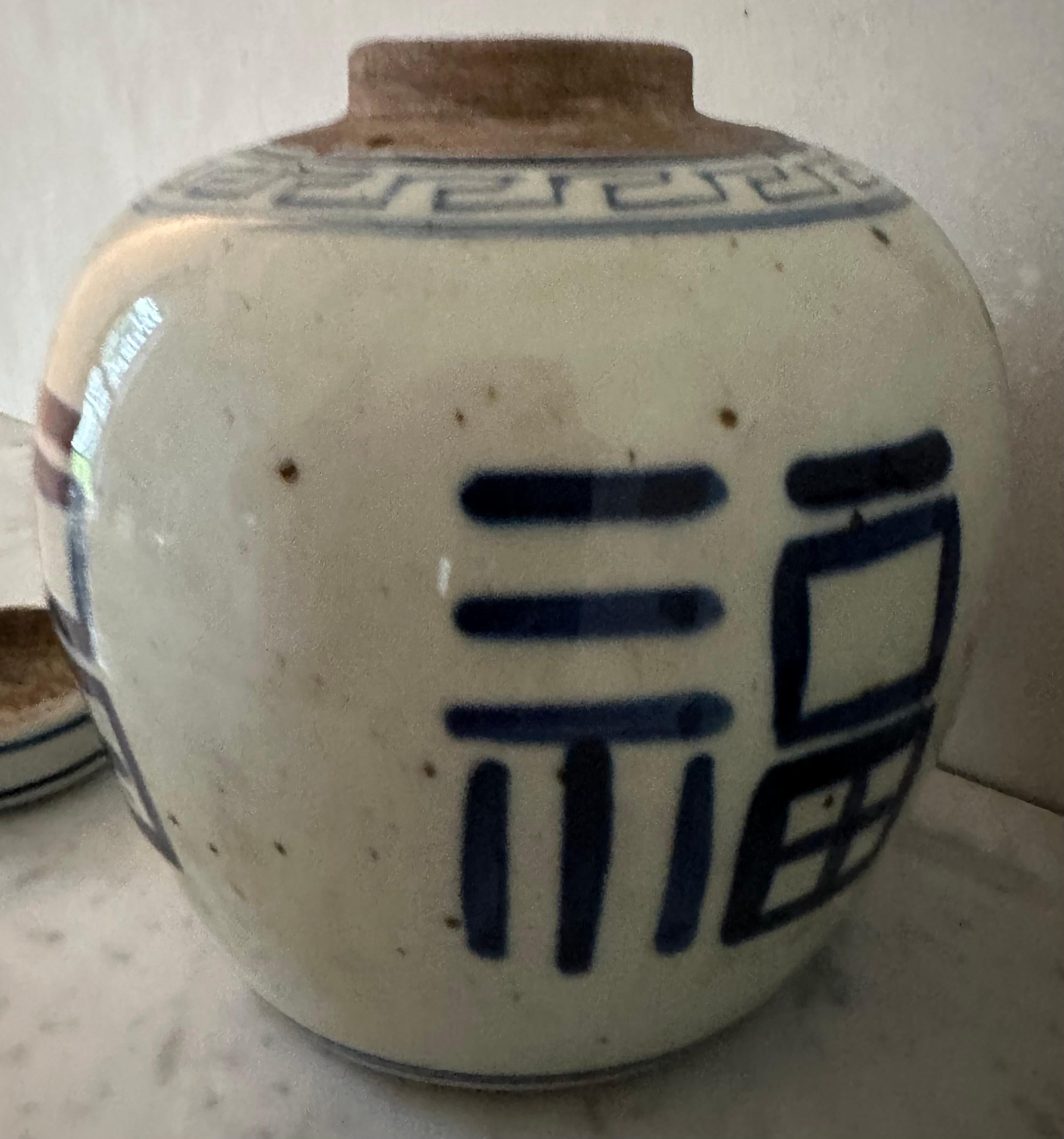 Paire de pots à gingembre chinois d'exportation bleu et blanc en vente 8