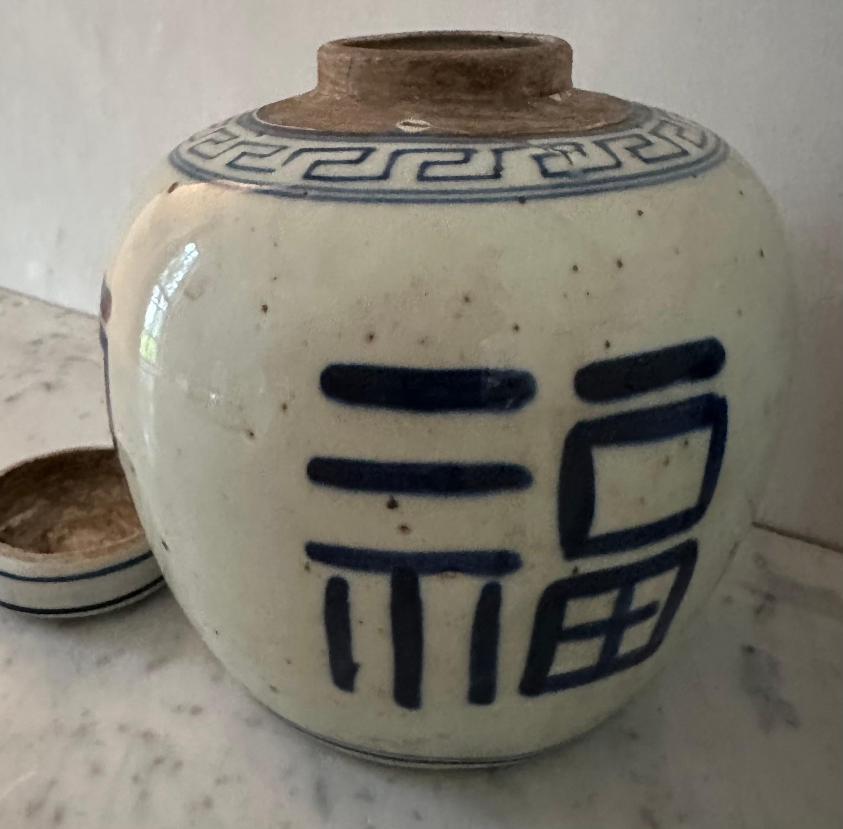Paire de pots à gingembre chinois d'exportation bleu et blanc en vente 10