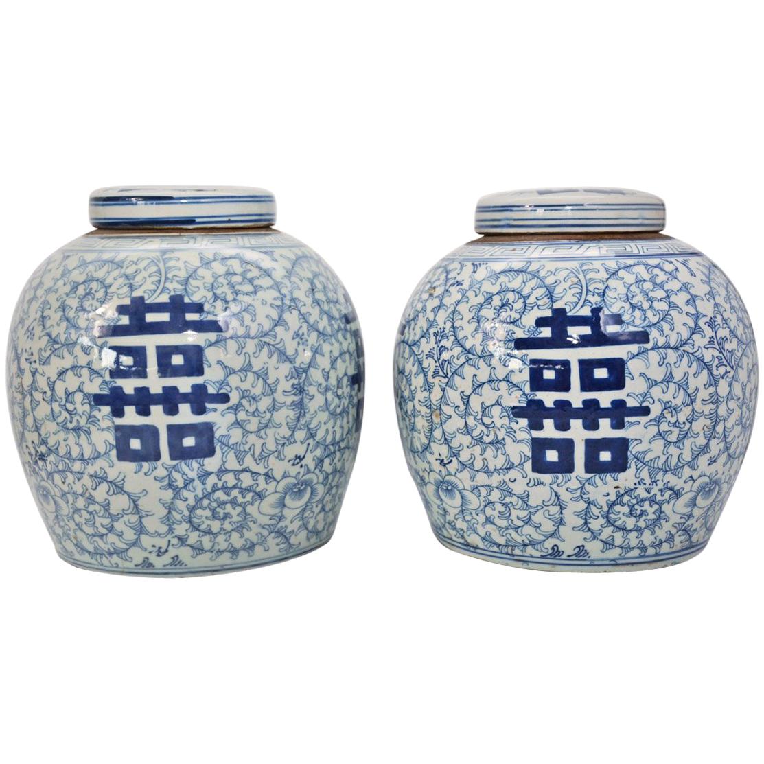Pair of Vintage Export Porcelain Chinese Ginger Jars