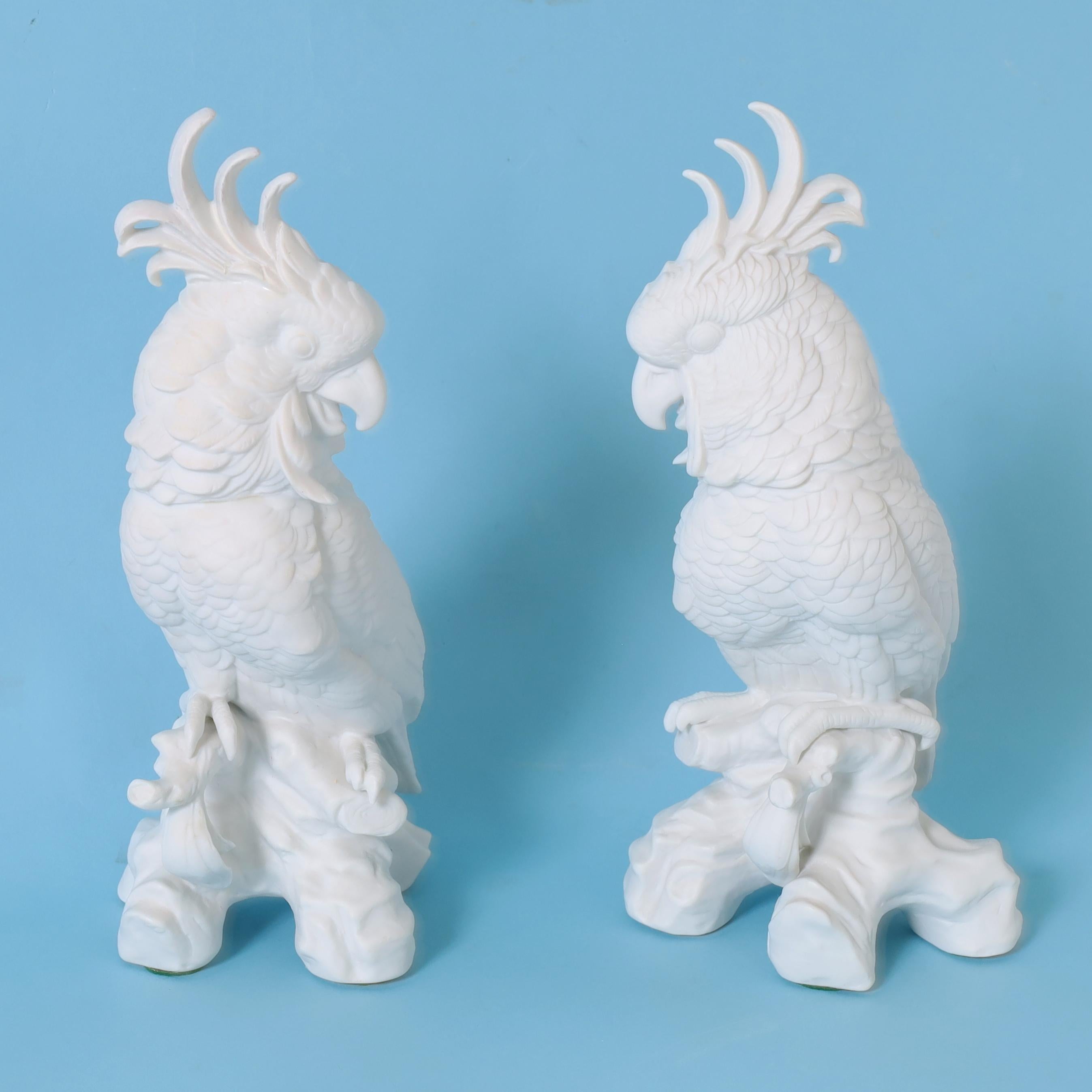 Pair of Vintage French Bisque Porcelain Birds 2