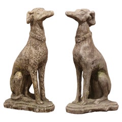 Pair of Vintage French Concrete Weathered Patinated Greyhound Dog Sculptures