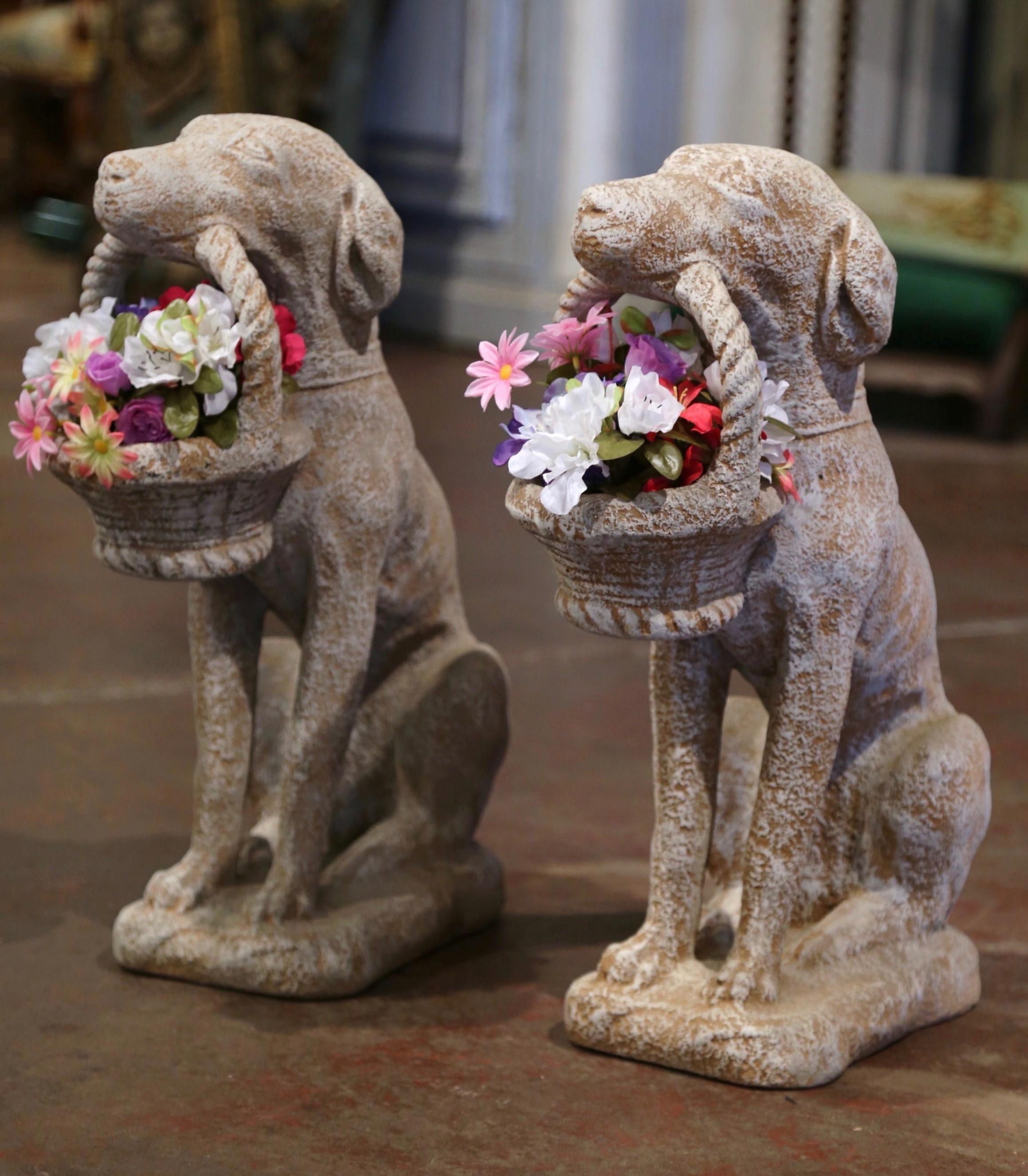 These Classic dog sculptures were crafted in France, circa 2010. The stately, vintage puppy labs are set on a flat carved base while sited on their back legs holding a flower basket in their mouth; they have wonderful expression and are further